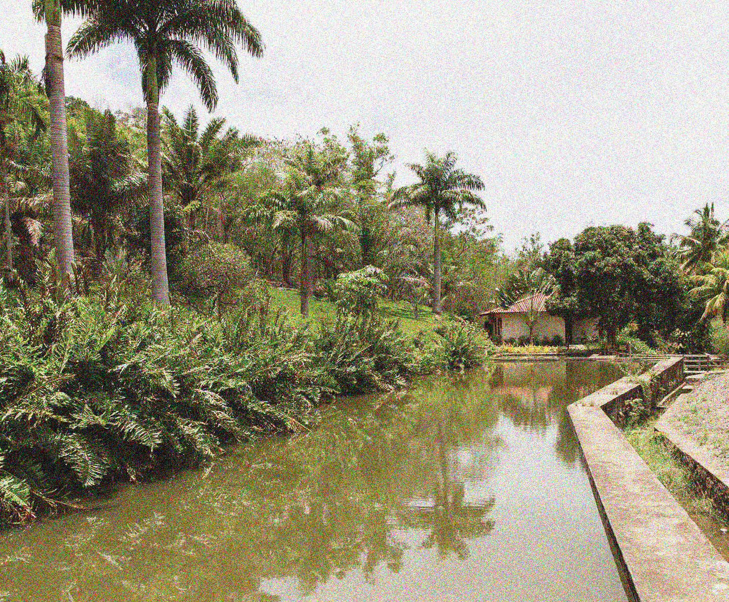 Girardin, C. A. J. et al. Nature-based solutions can help cool the planet - if we act now. Nature 593, 193