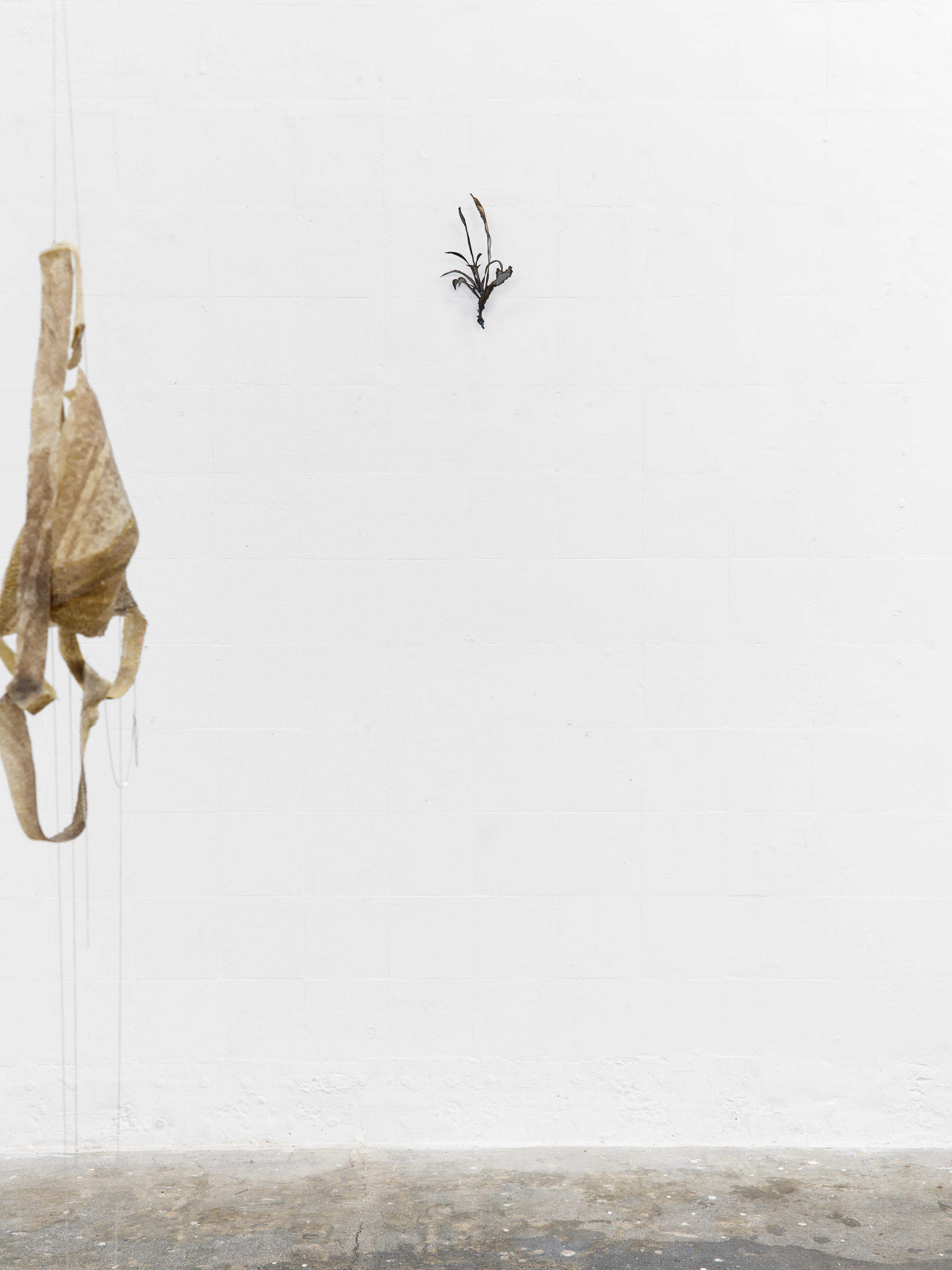 Installation view. Jasmine Pajdak [photo credit: M8R8S Studio]