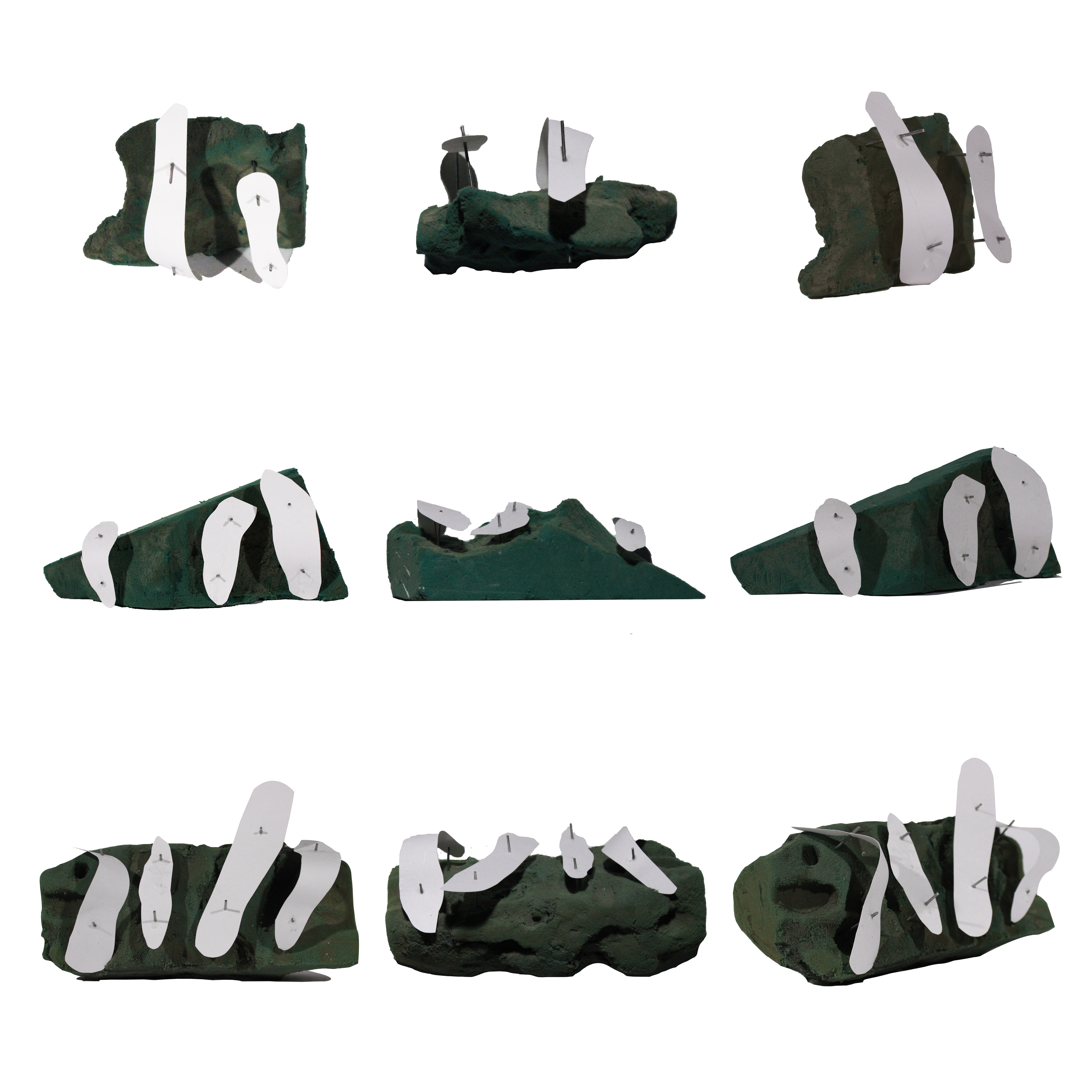 The rotating world: Pinned-model 