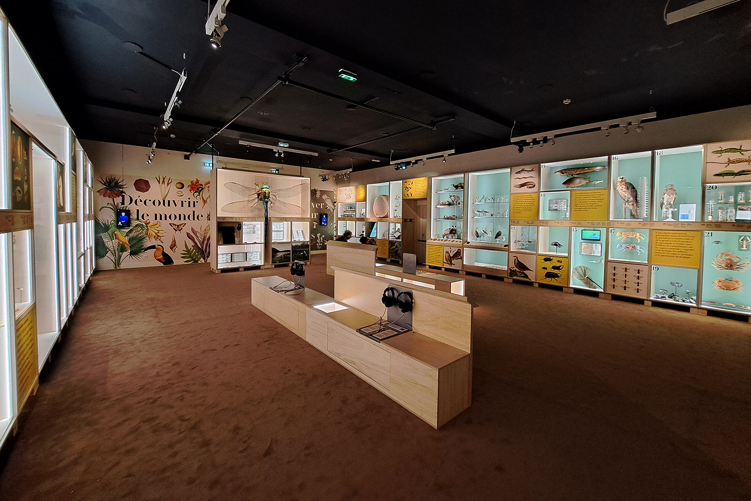 2024/ "Tr&eacute;sors & biodiversit&eacute;" - Mus&eacute;um d'Histoire Naturelle de Nantes