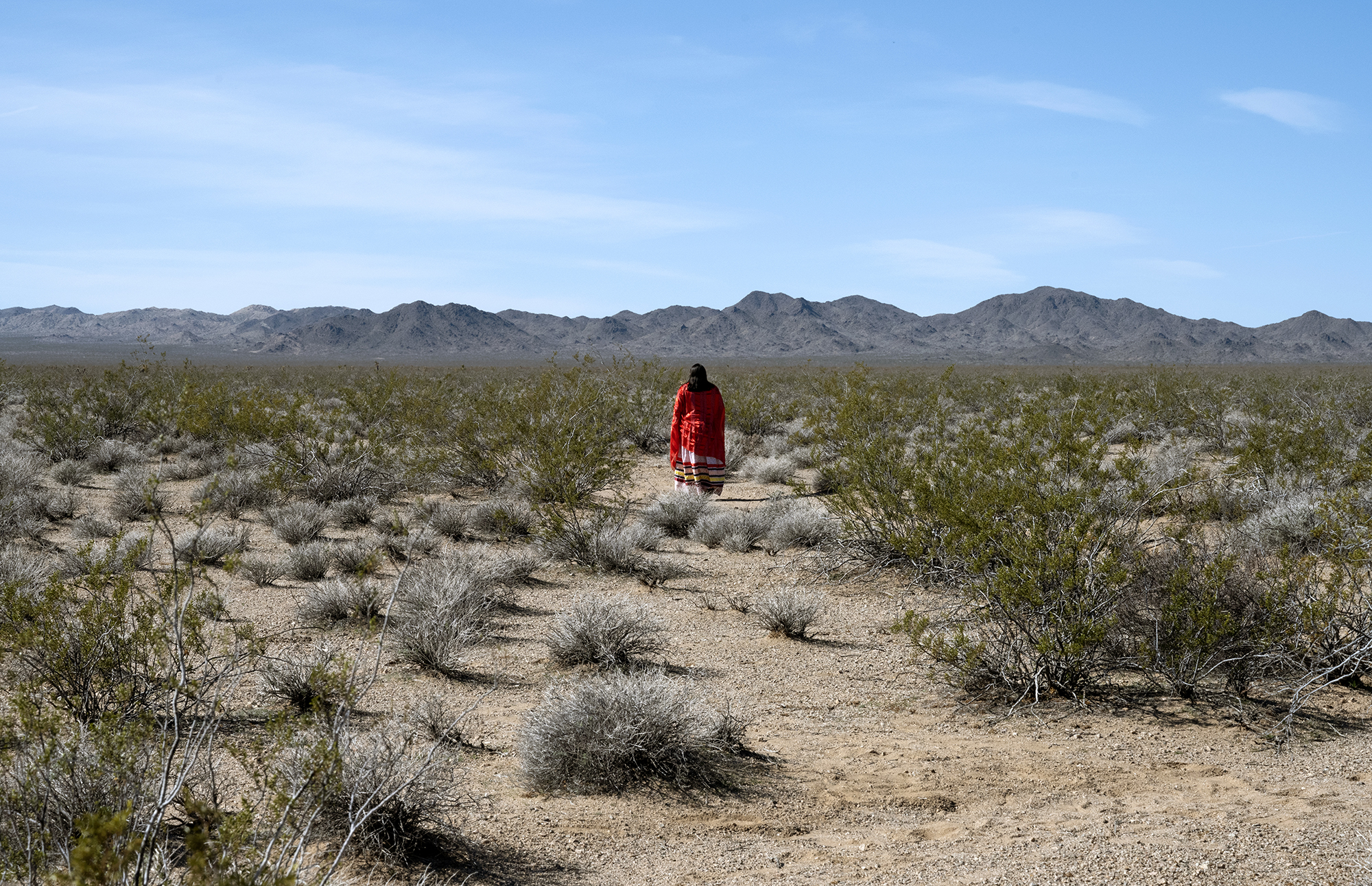 High Country News article "Tribal nations’ lasting victory in the Mojave Desert" 