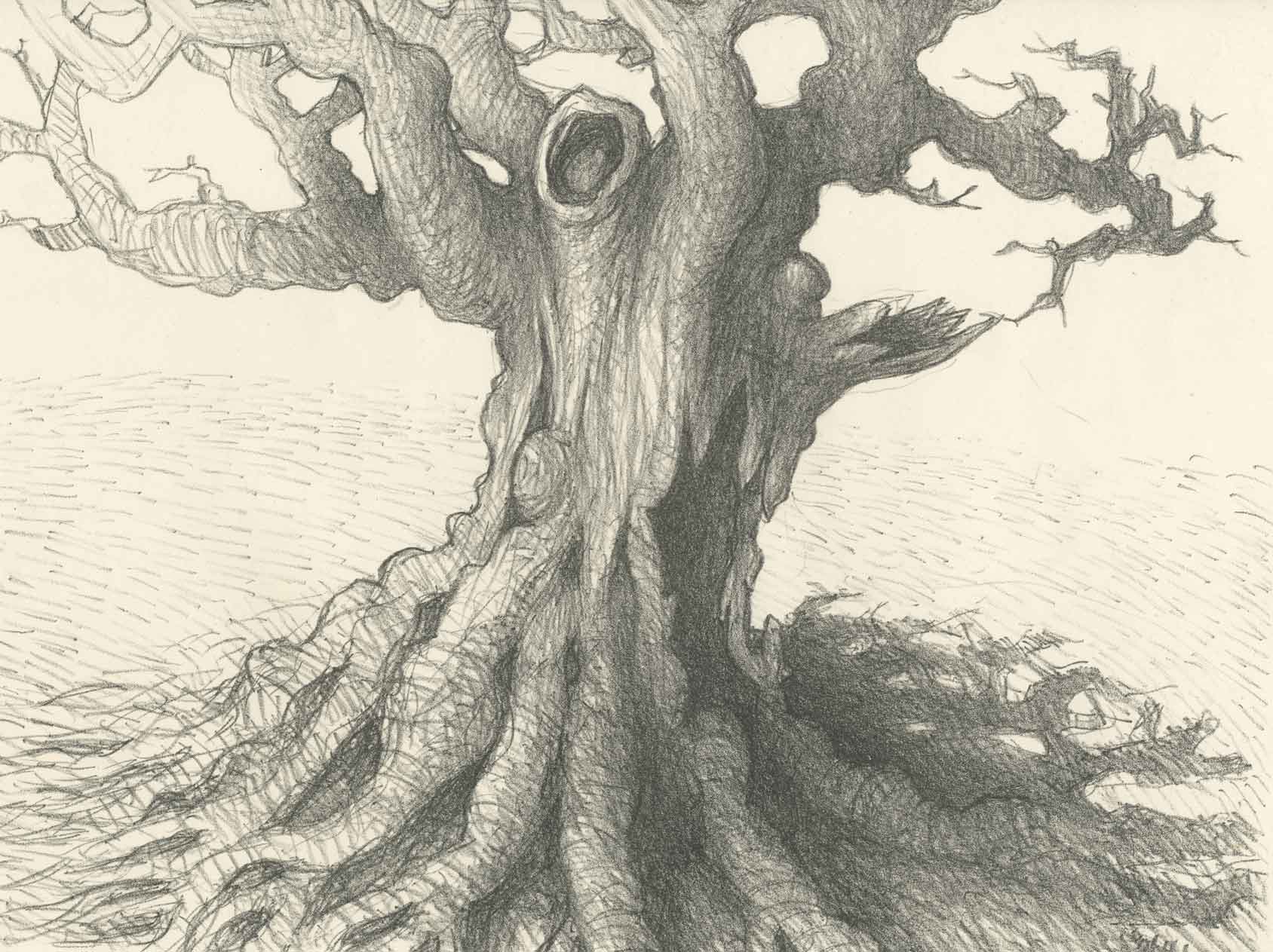The hollow tree, lithograph