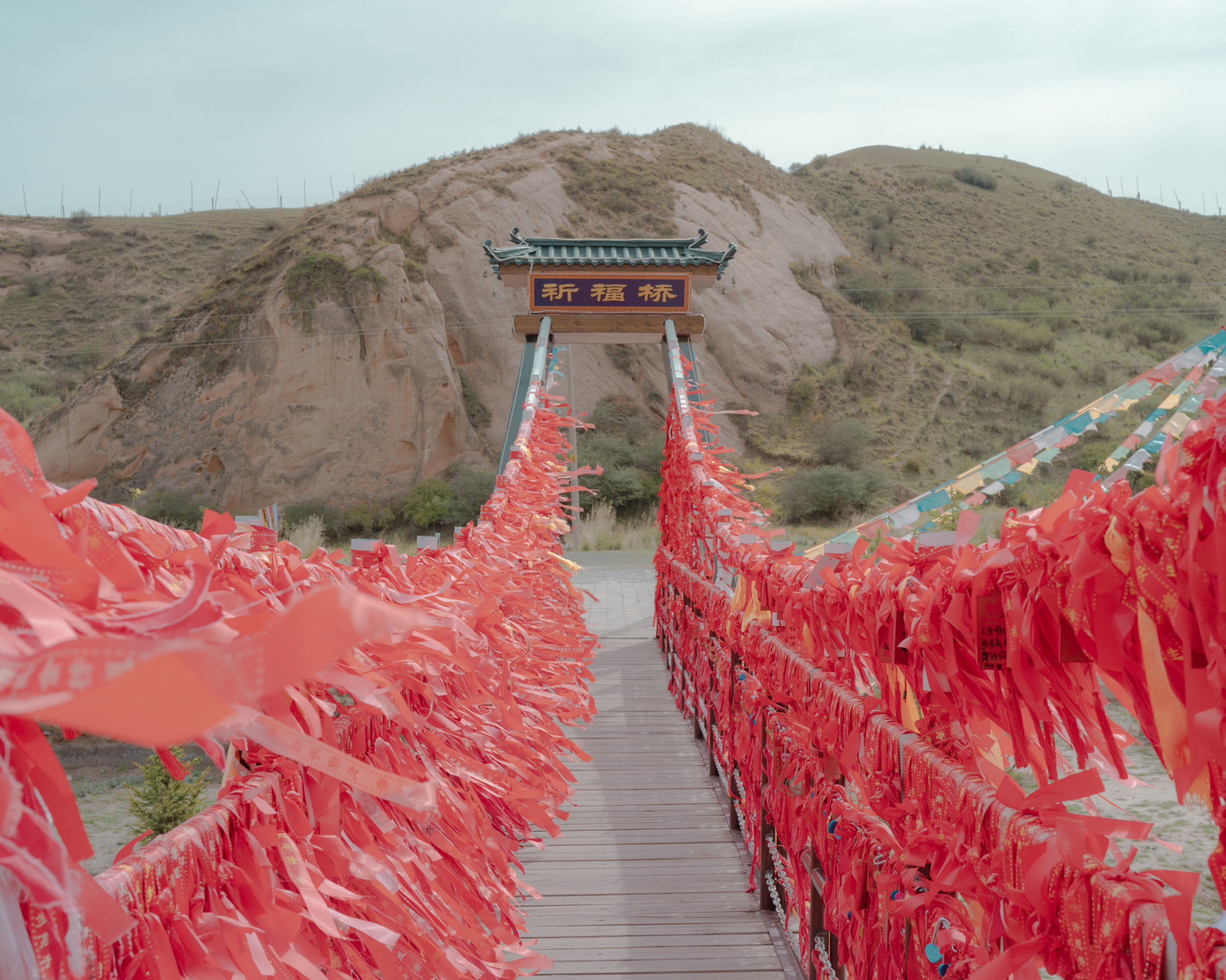 Tenderness in the vastness