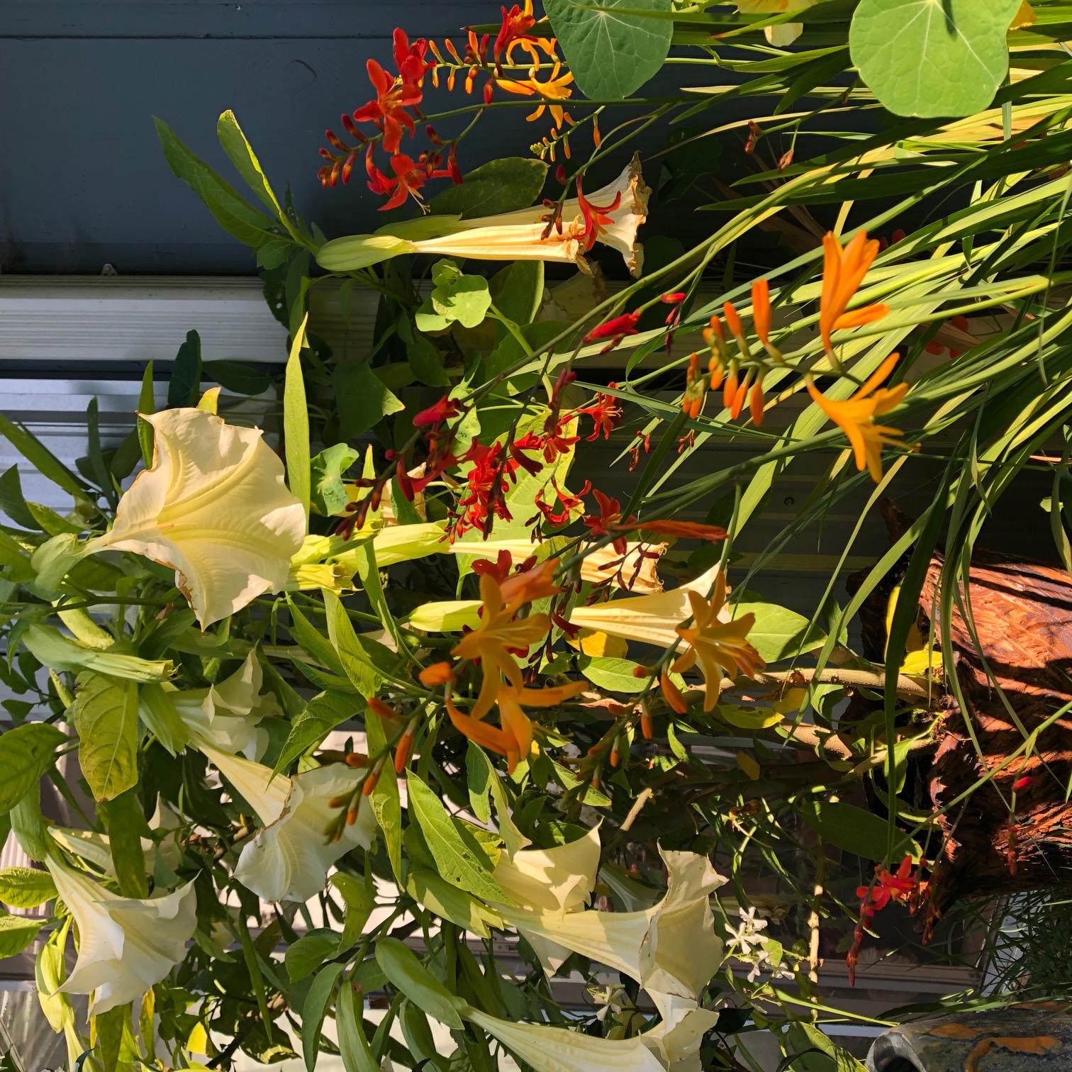 Gardens of Heart Fire Sanctuary