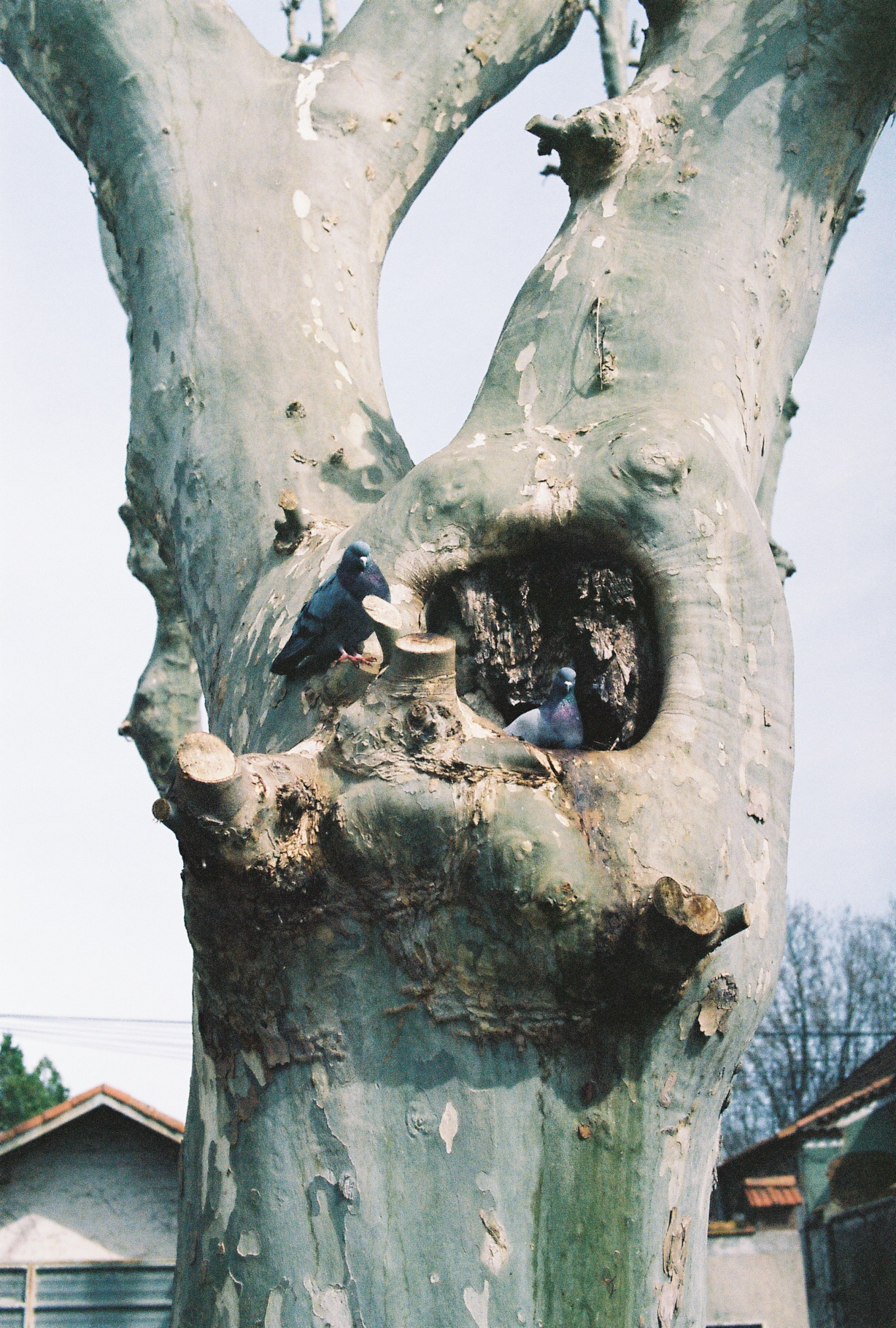 Arles, France, 2021.