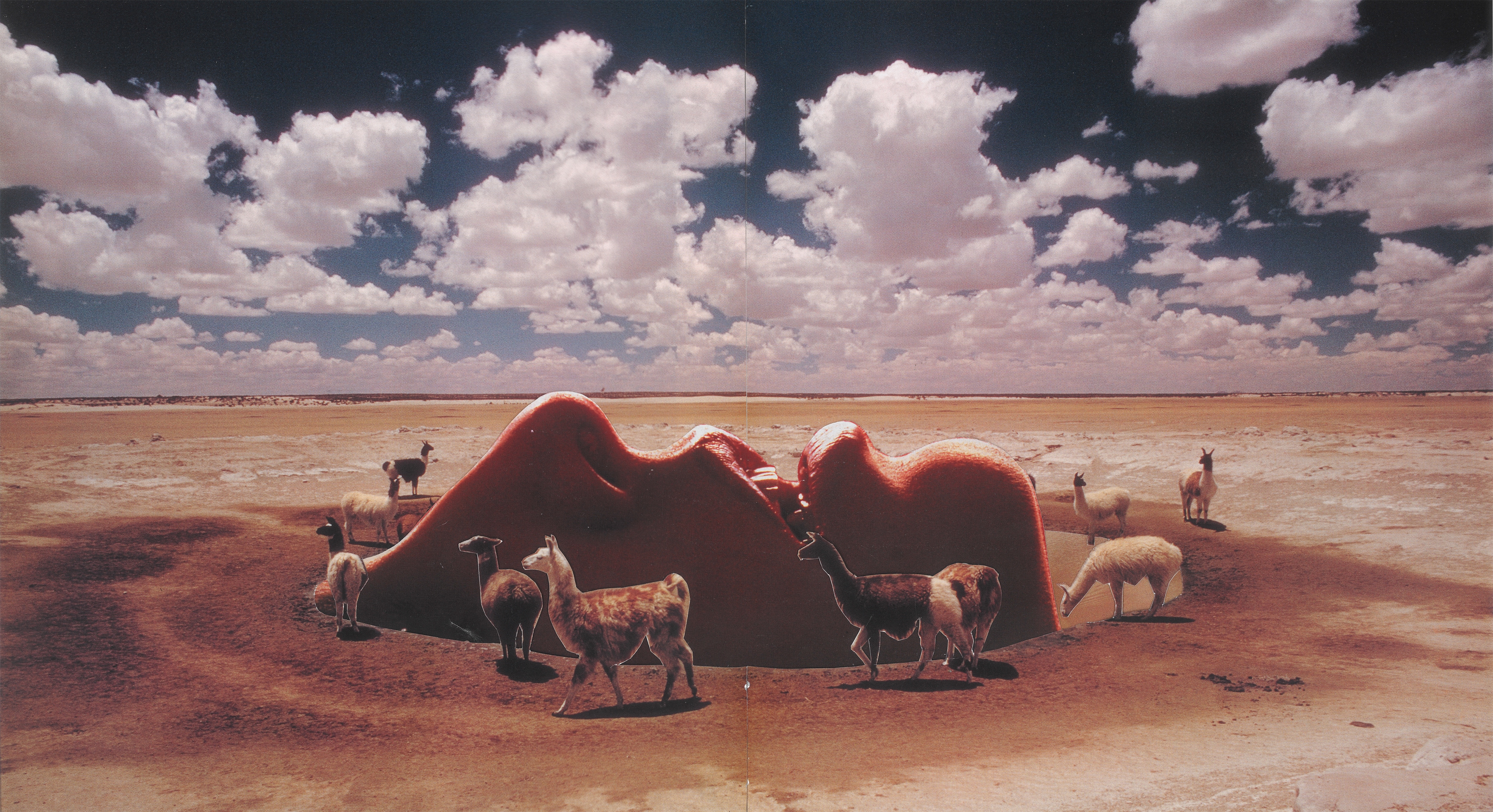 Serenity Mirage, 2014, photomontage, 44 x 28cm