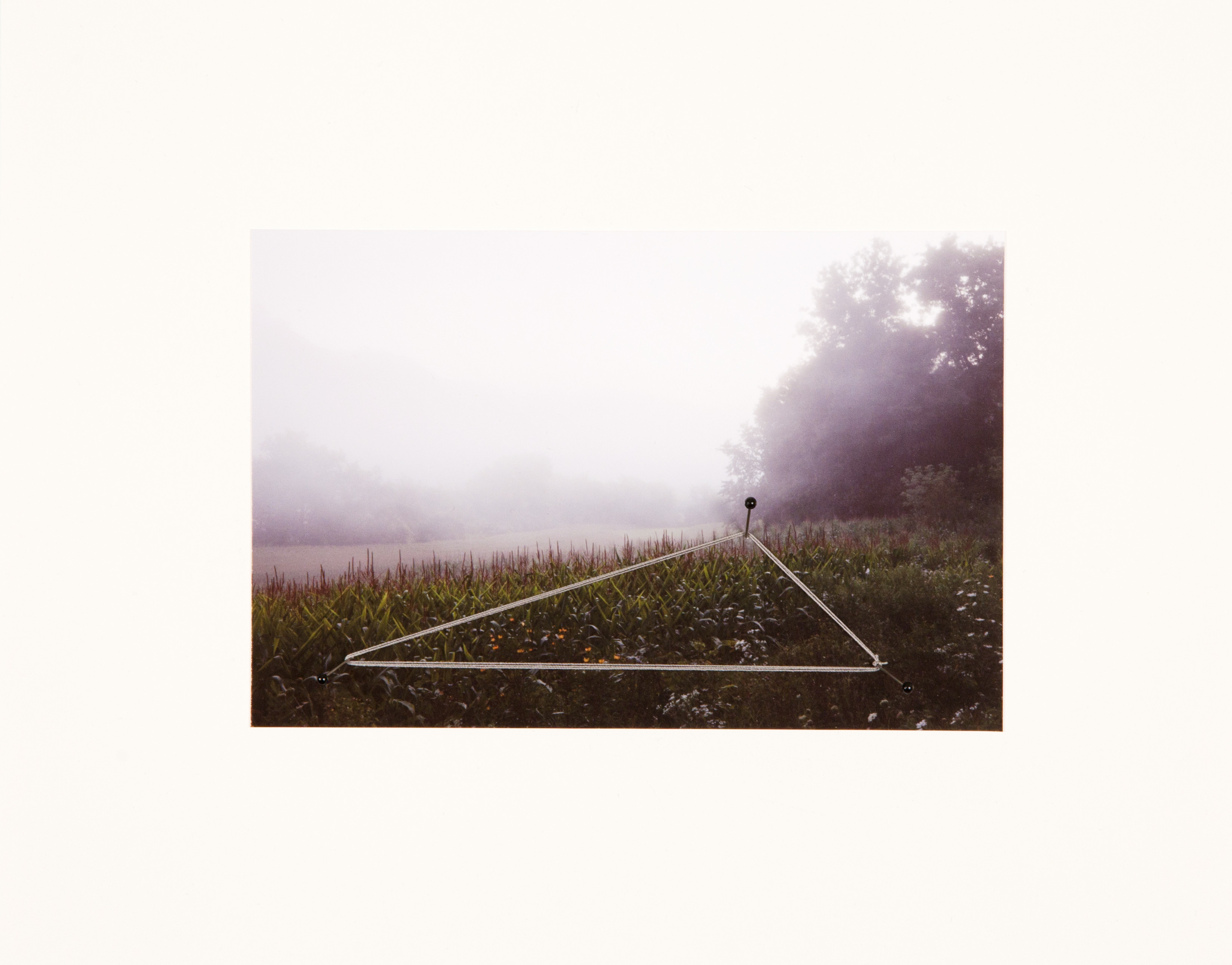 Field Edging #2, Stuben, WI, 2012.