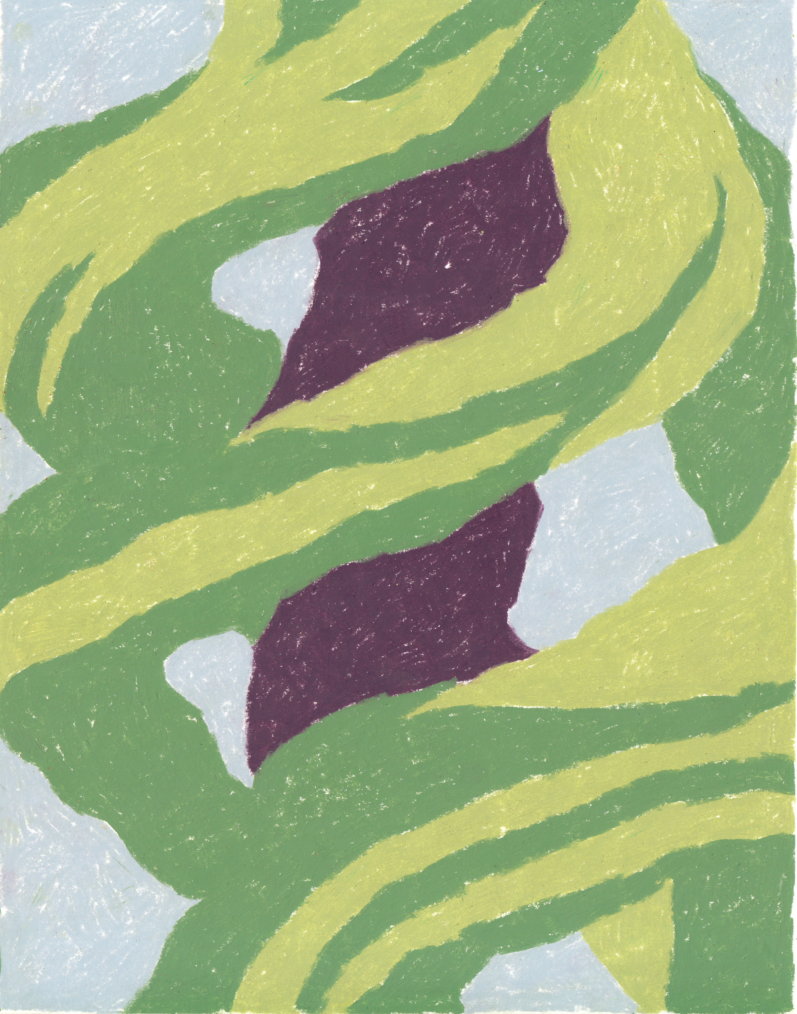 Blossfeldt Study II, wax pastel on paper, 2020