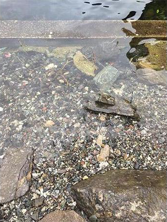 The High Tide: The water level has made its way up to the small stones lying next to the pathway, not crashing against any big surface but moving up and down this rough beach 