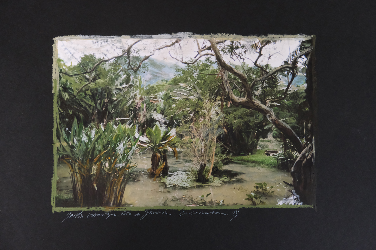 42x 60 cm