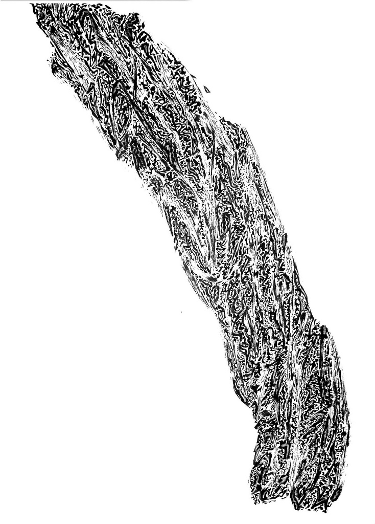 5. Hierarchical scribbles, no loops, no intersections, A4 size, fixed elbow. Encre de chine brush drawing and something white pencilish from Koh-I-Noor.