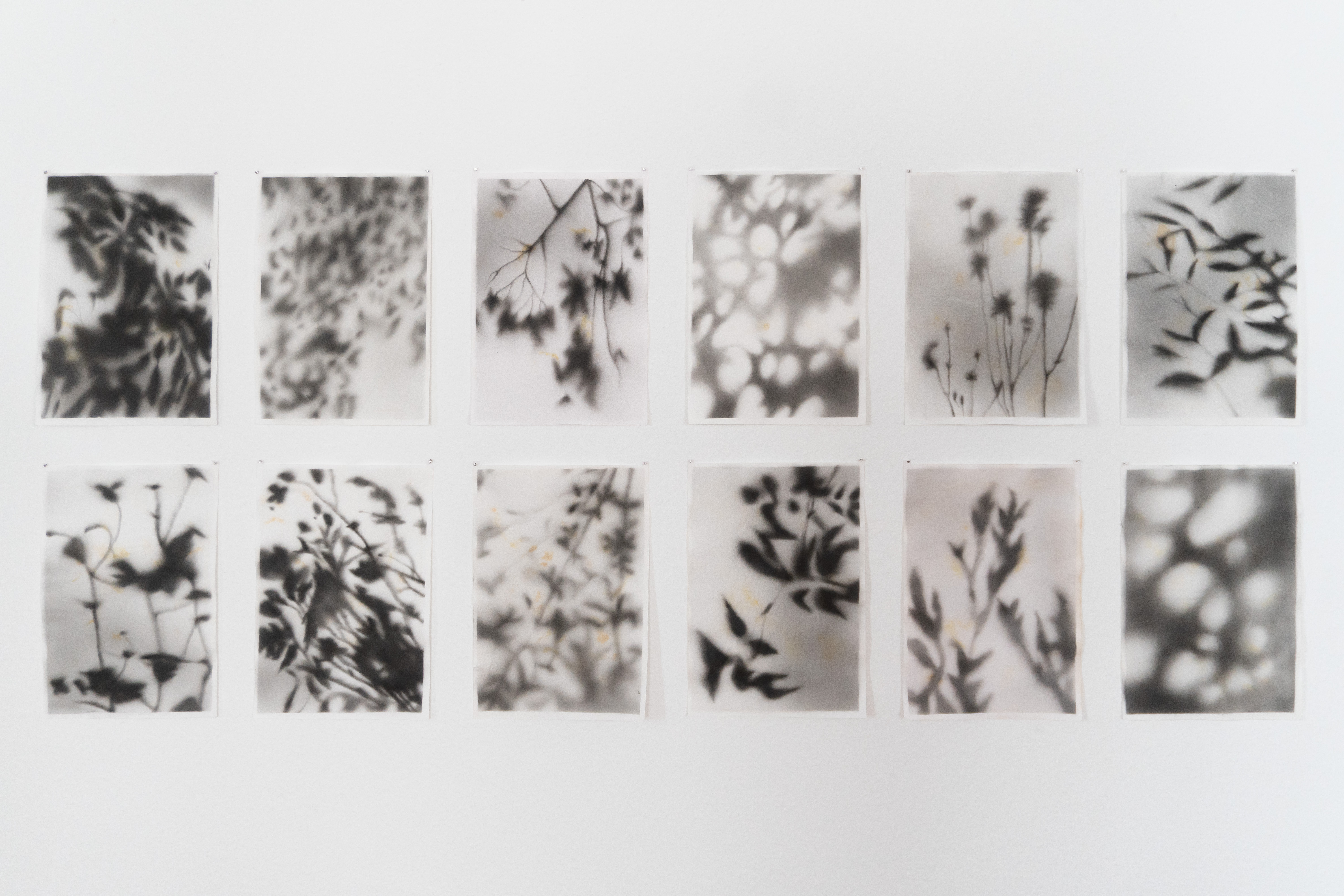 As part of the exhibition 'Traces' in Kulturraum Waldenburg, 2025
