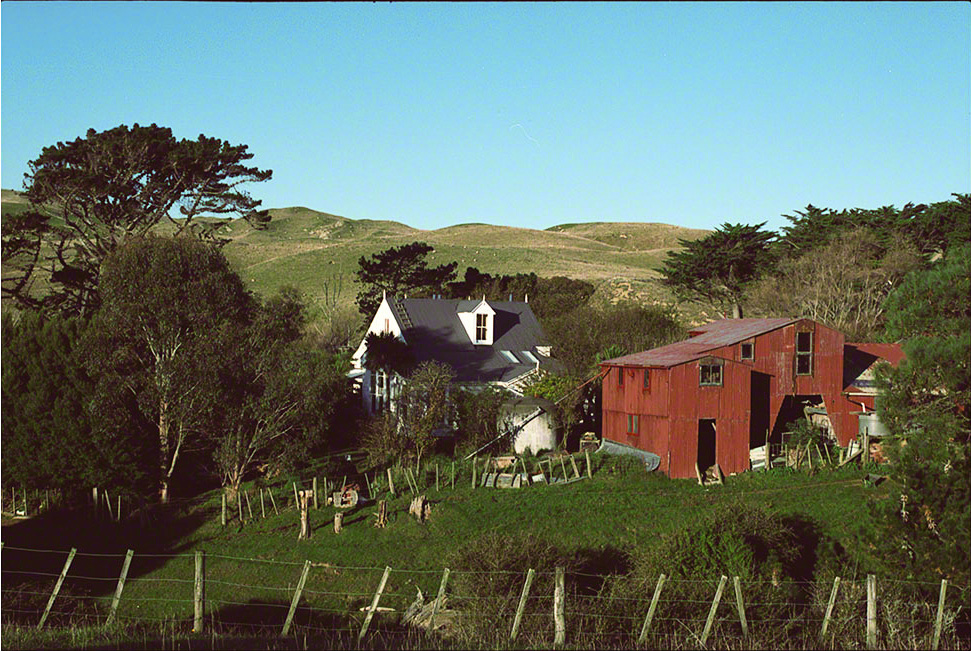 2/2Rottowers, 1991 (911002_05) / From whence I came