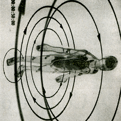 Animated Gif Laboratory
