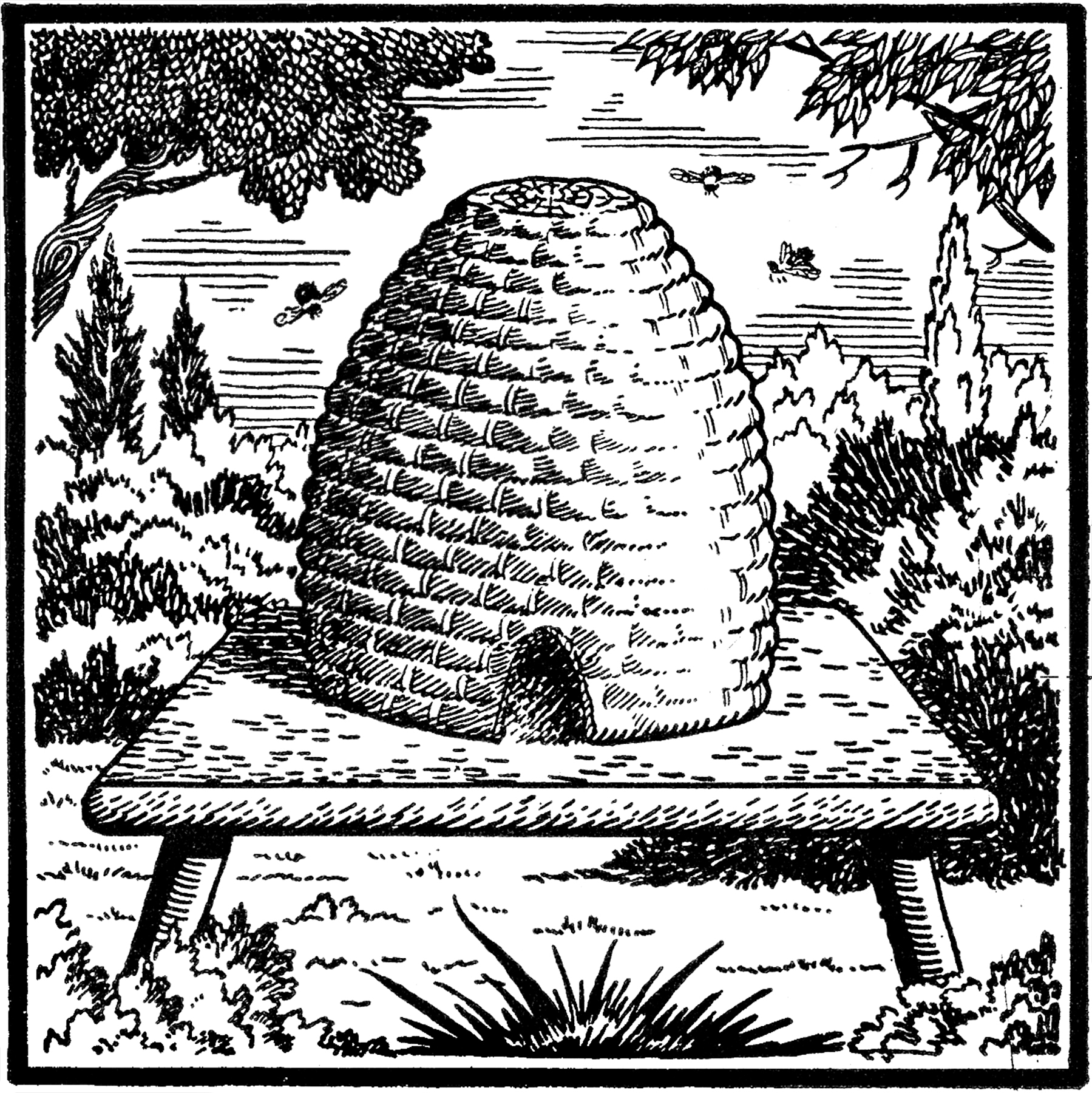 The Beehive