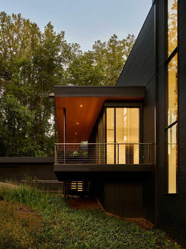 VIRGINIA TREE HOUSE — Robert Young Architects