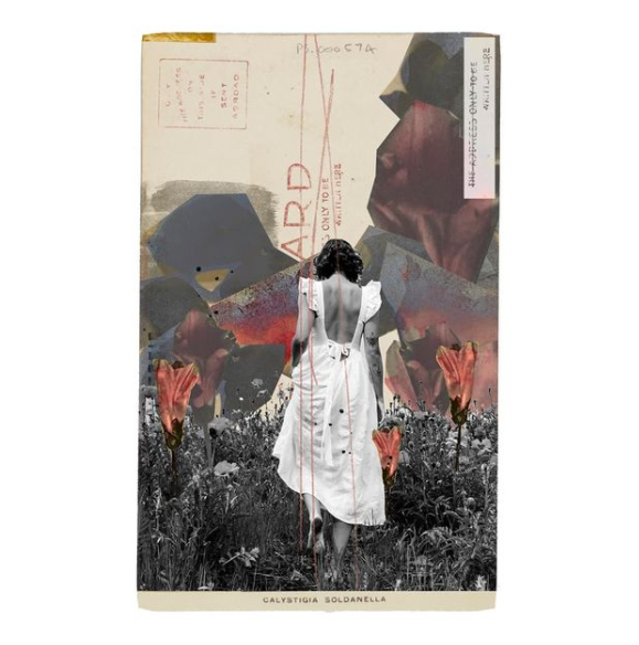 María José S. Acera