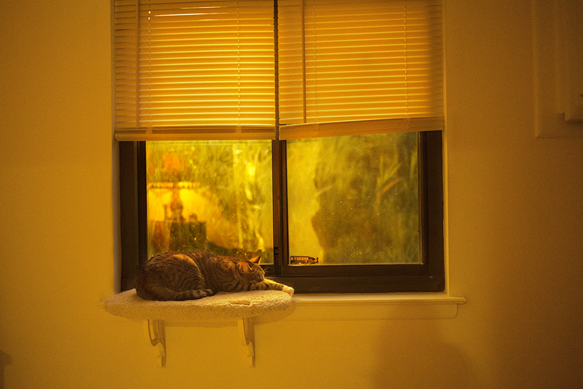 The light after the storm