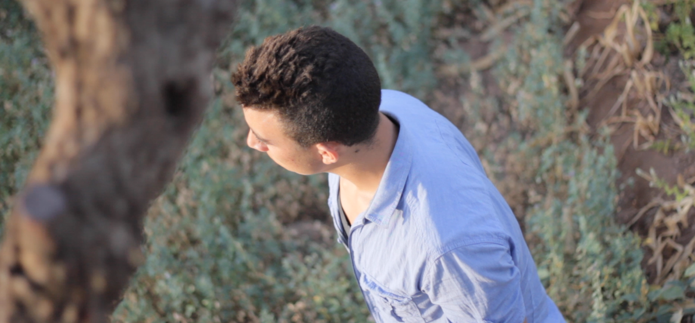 His Highness' History