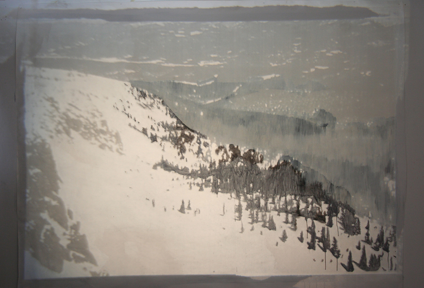 Palimpsest, 2007, 300x240cm, photographic projection, oak gall ink and acrylic on paper