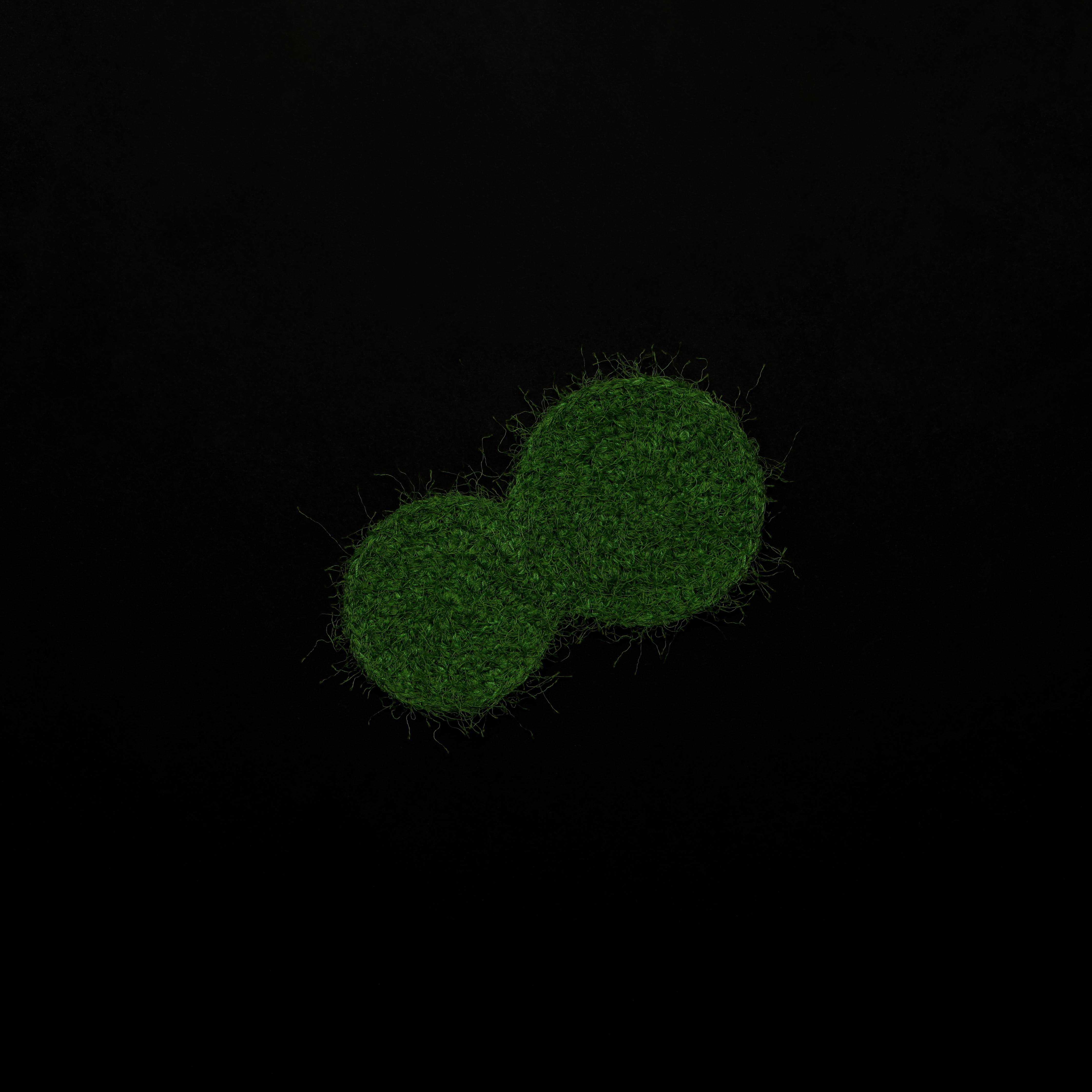 오수의 이끼 코스터