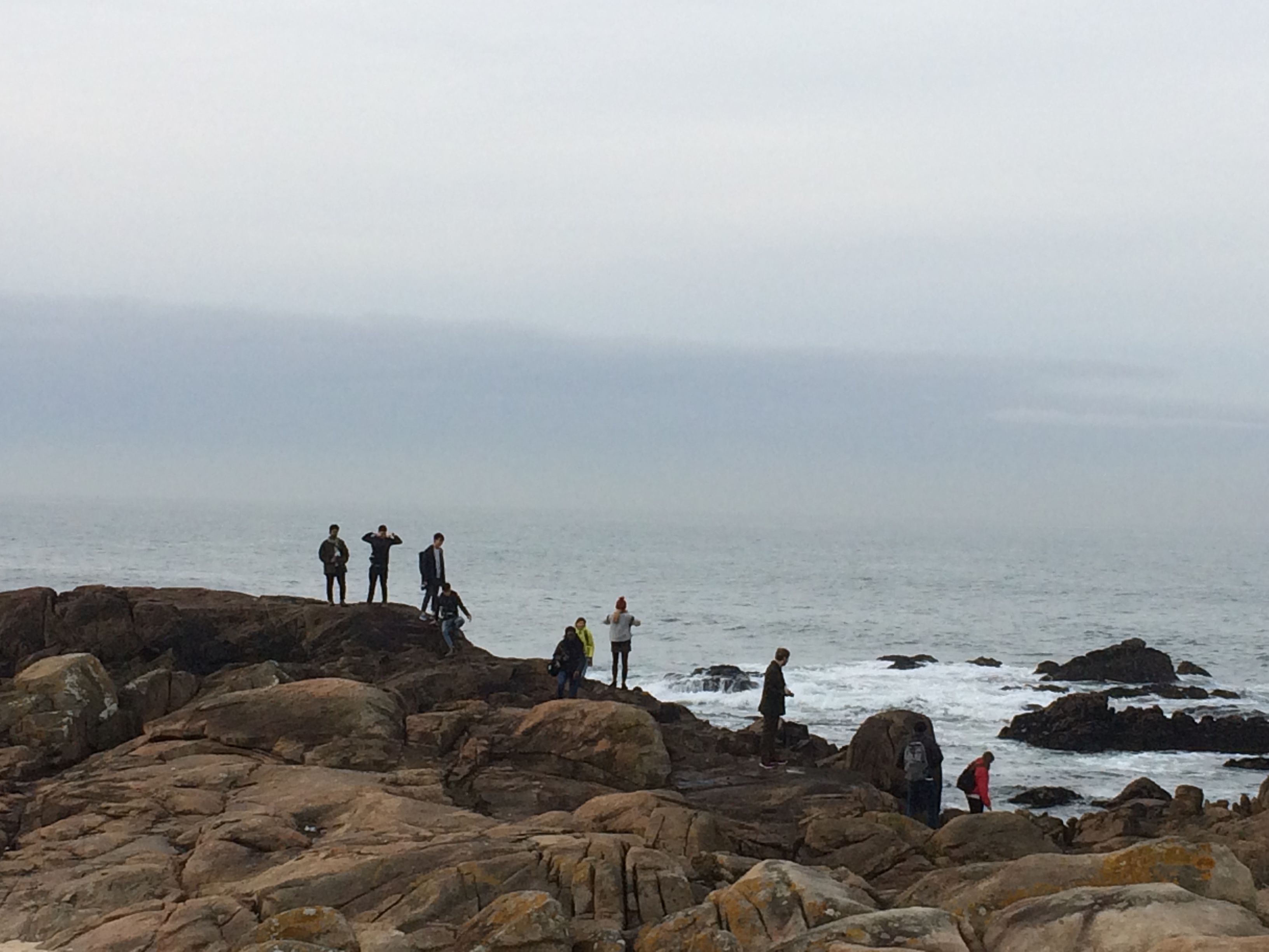 Drifting Landscape, 2016 - 2017