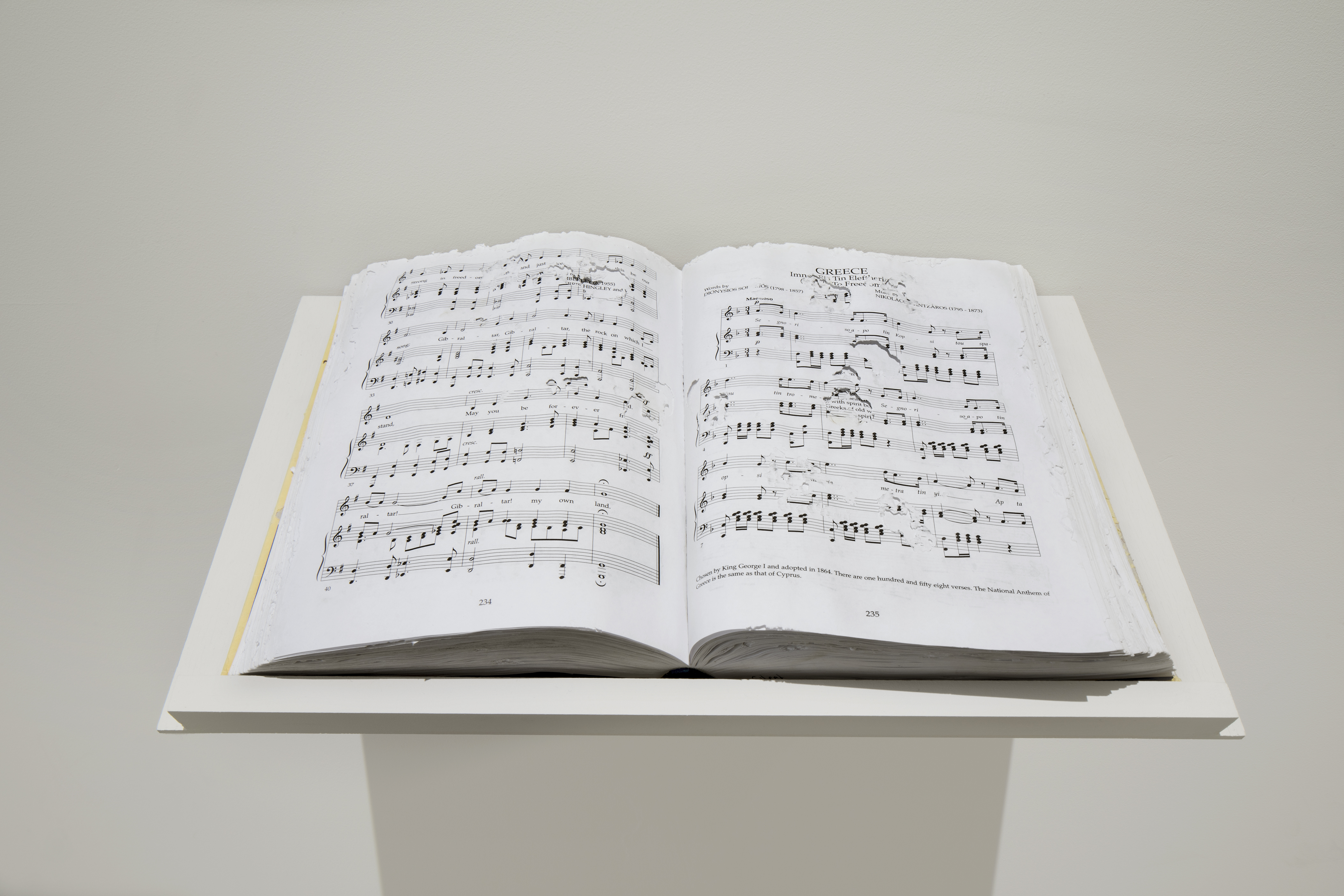 Sanne Vaassen, The National Anthems of the World, 2014, Hardcover book, 9.8" x 7.2" x 3.7."