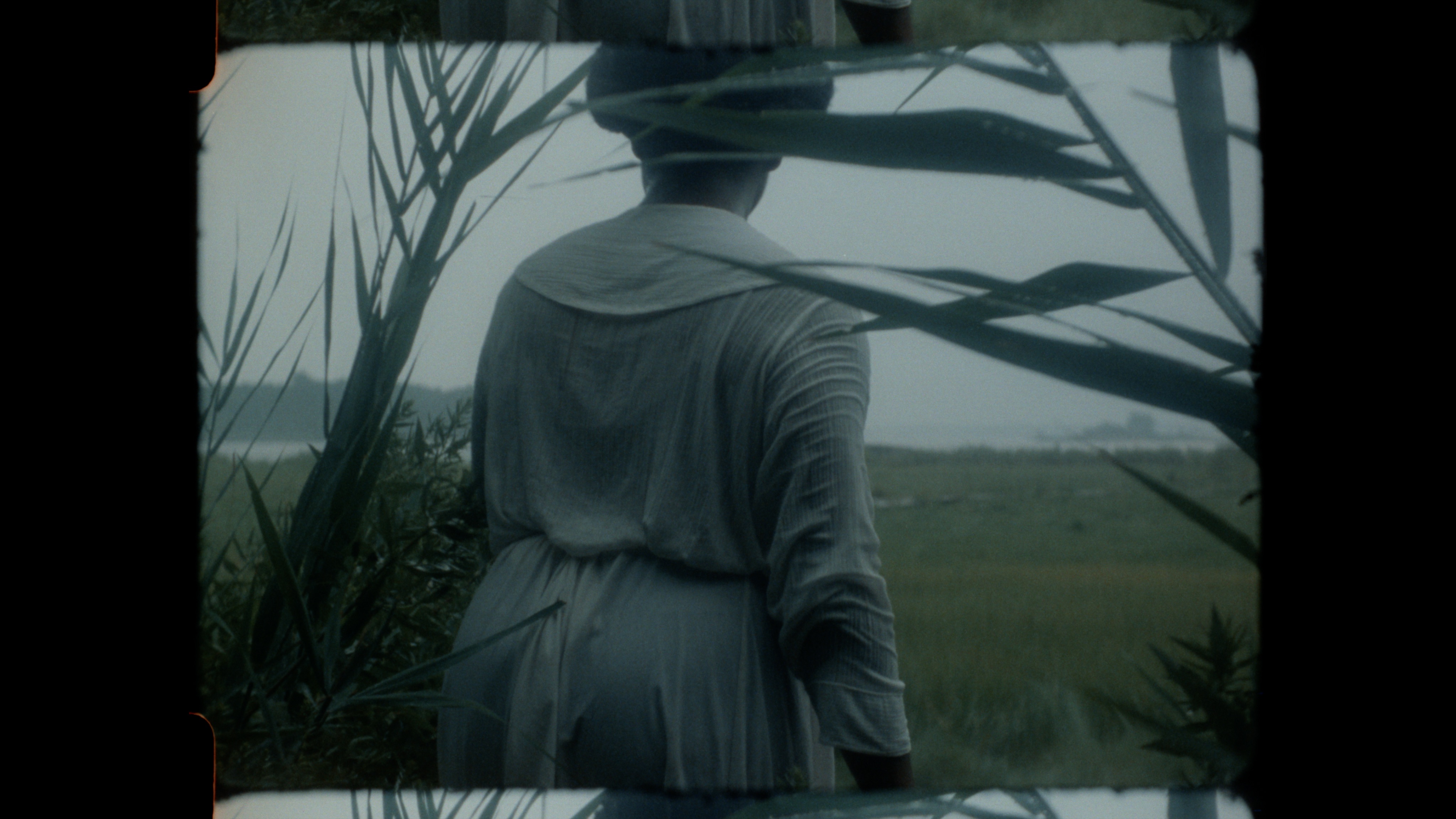 Malaga Island - In Development