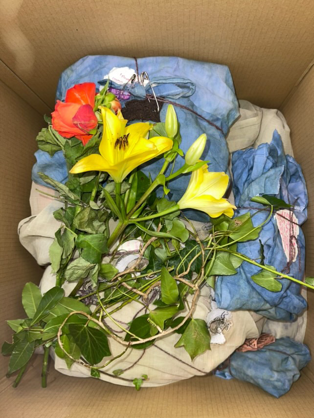 魔法のはこ - FEBRUARY 16, 2025