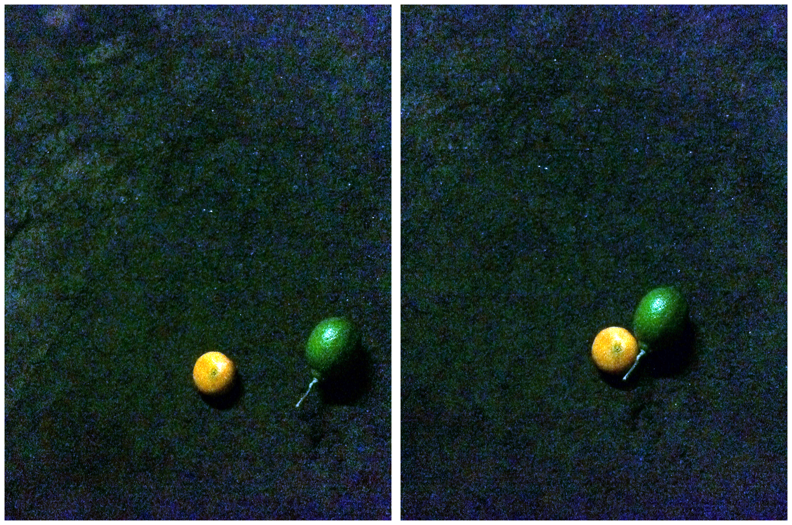 Forbidden Fruit, 2013Smartphone images43.667 x 28.944 in.110.91 x 73.52 cm