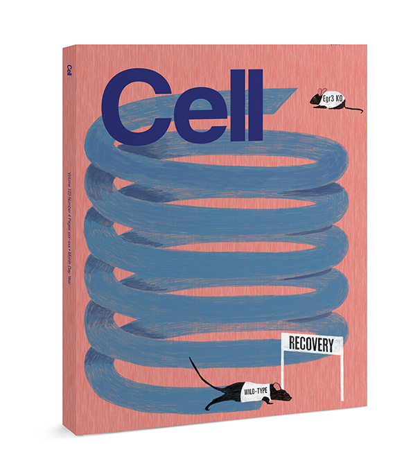 barrer arco herramienta Cell magazine - Rachel Sender