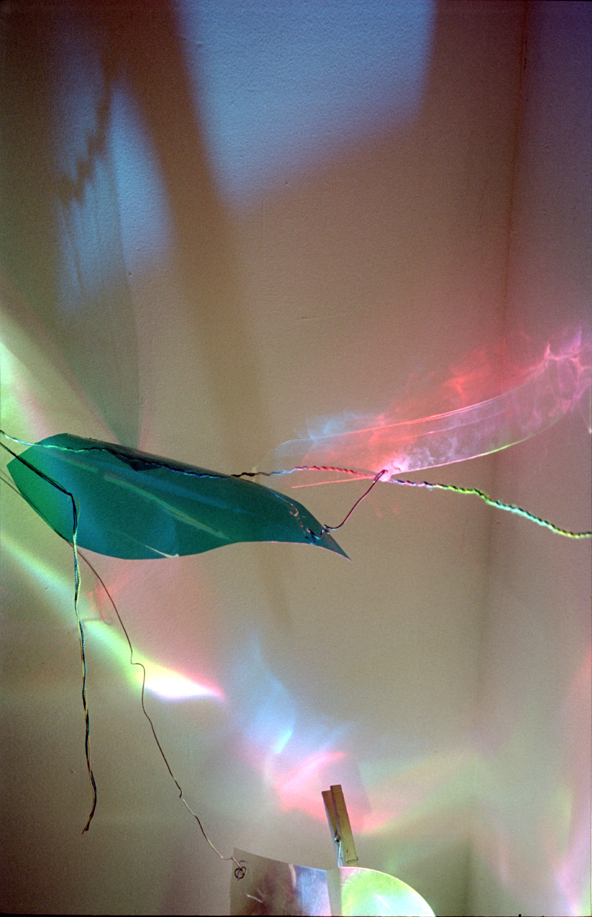 hope you are having, 2022