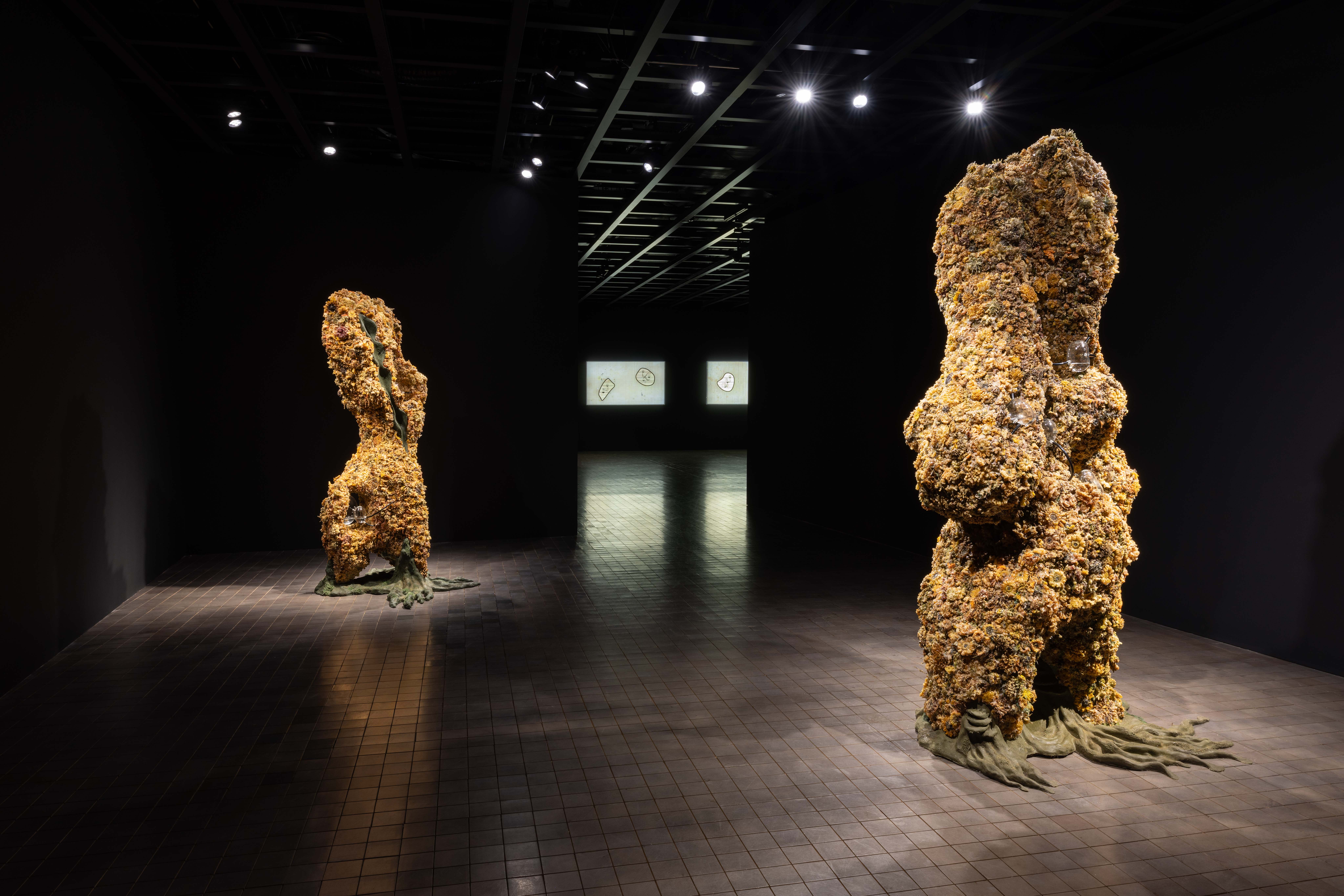 아니카 이 [또 다른 진화가 있다, 그러나 이에는]