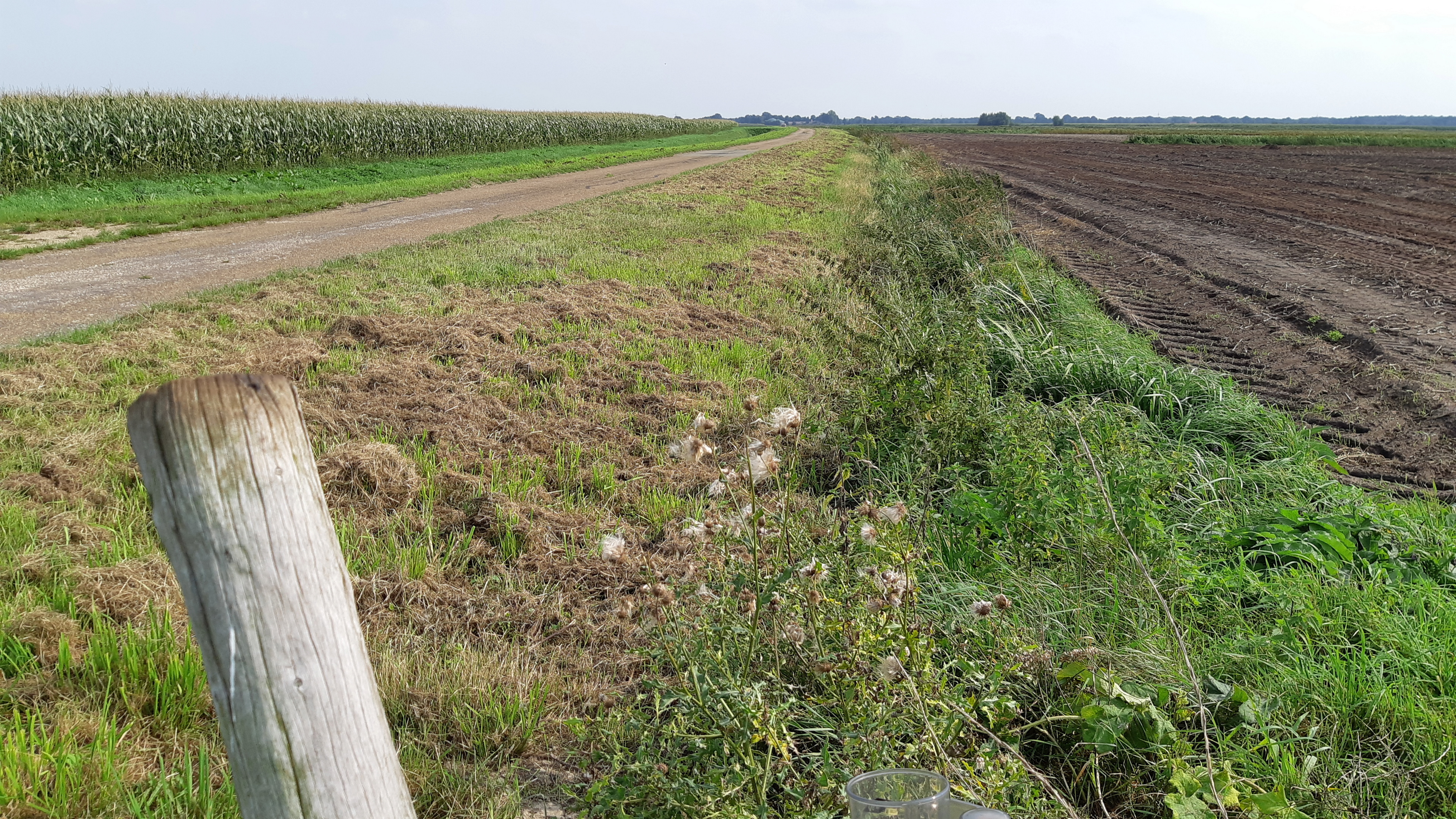 N 52.645000, E 6.921667 L Schoonebeek (NLD) | R Emlichheim (DEU)