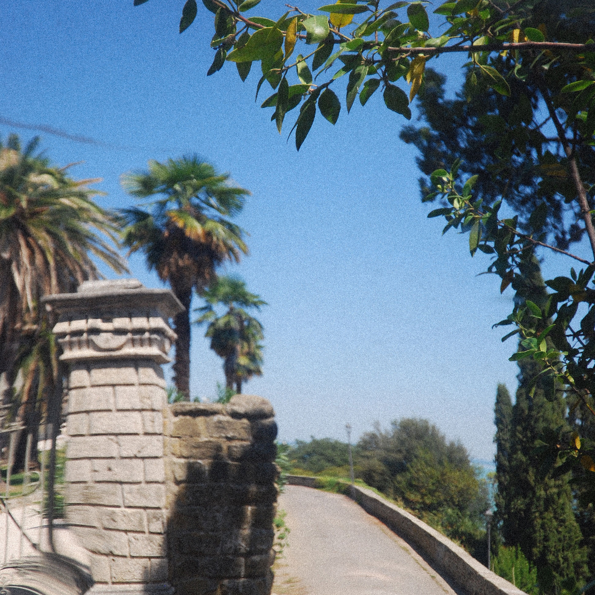 Gefilterde blikHardop liefhebben