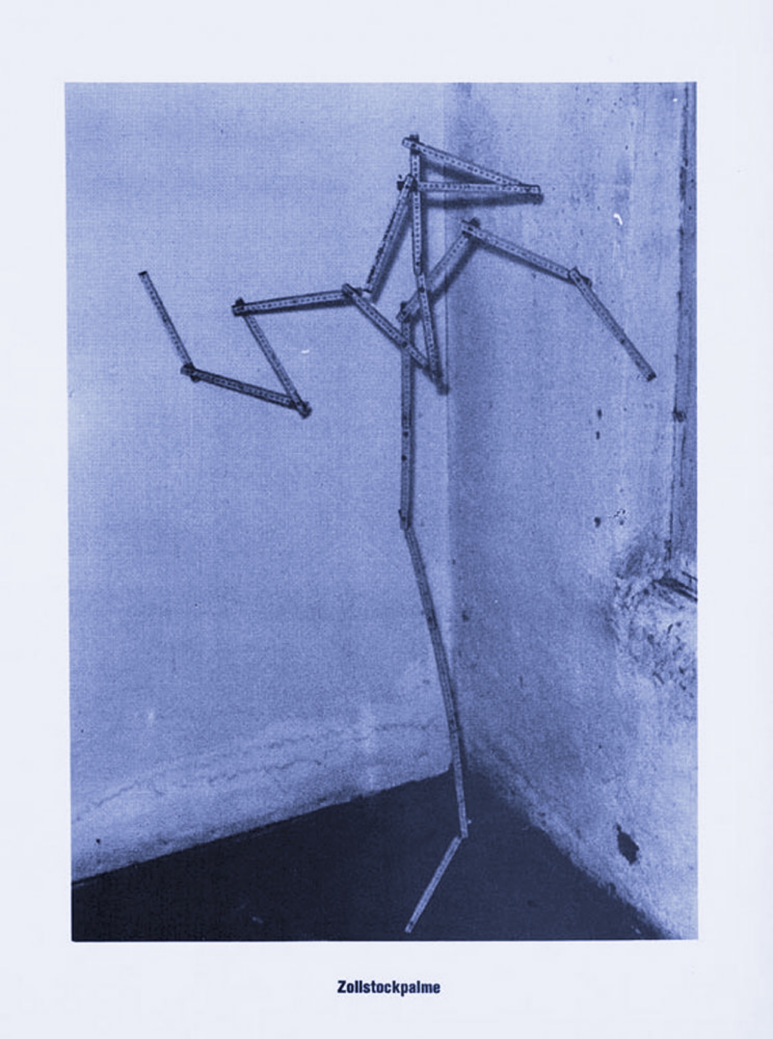 Sigmar Polke, Zollstockpalme, 1966