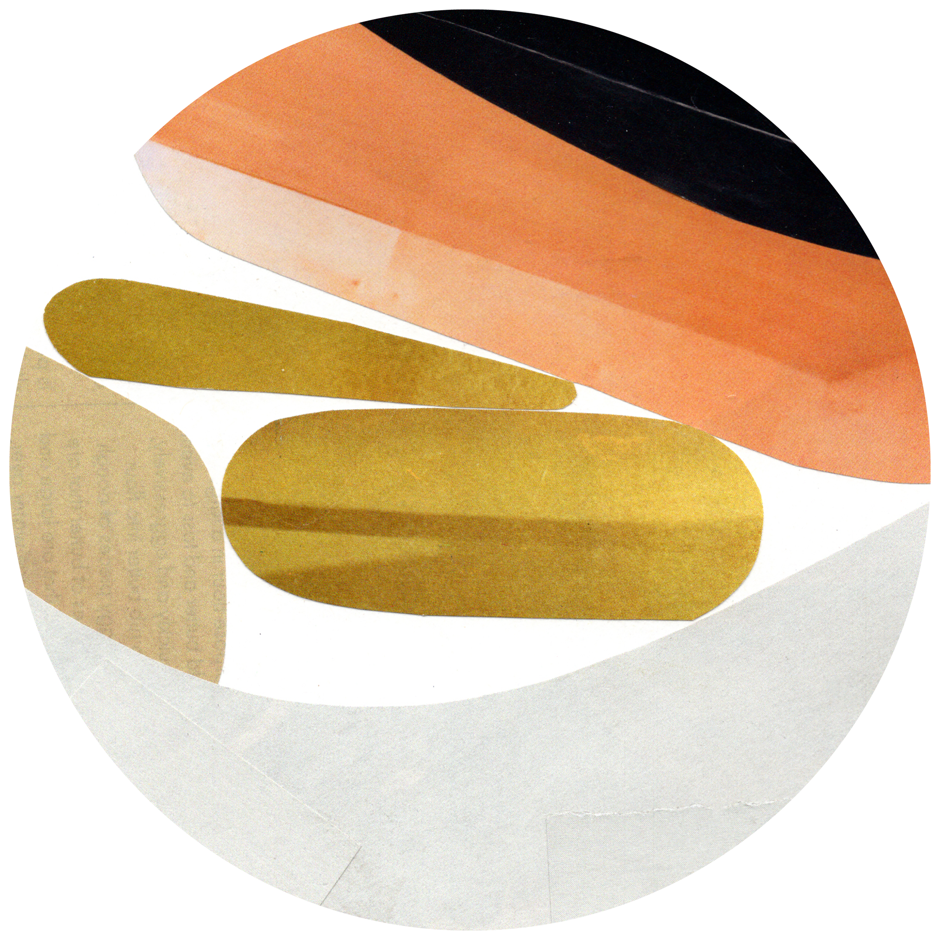 07/2022, 5x5", Orlando FL