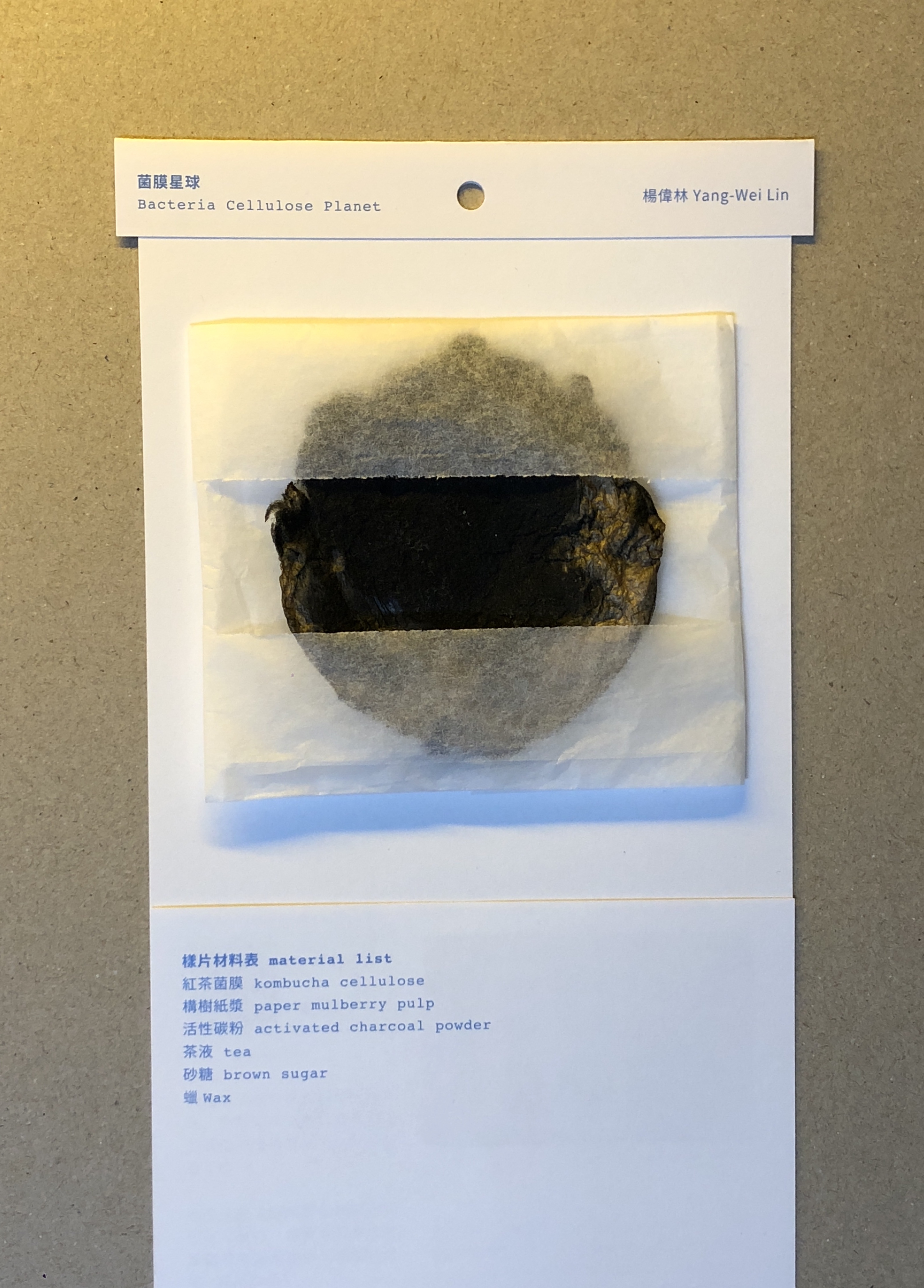 楊偉林 Yang-Wei Lin swatch 00