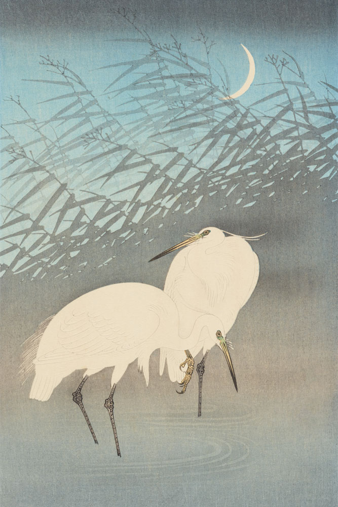 original image by Museum of New Zealand Te Papa Tongarewa