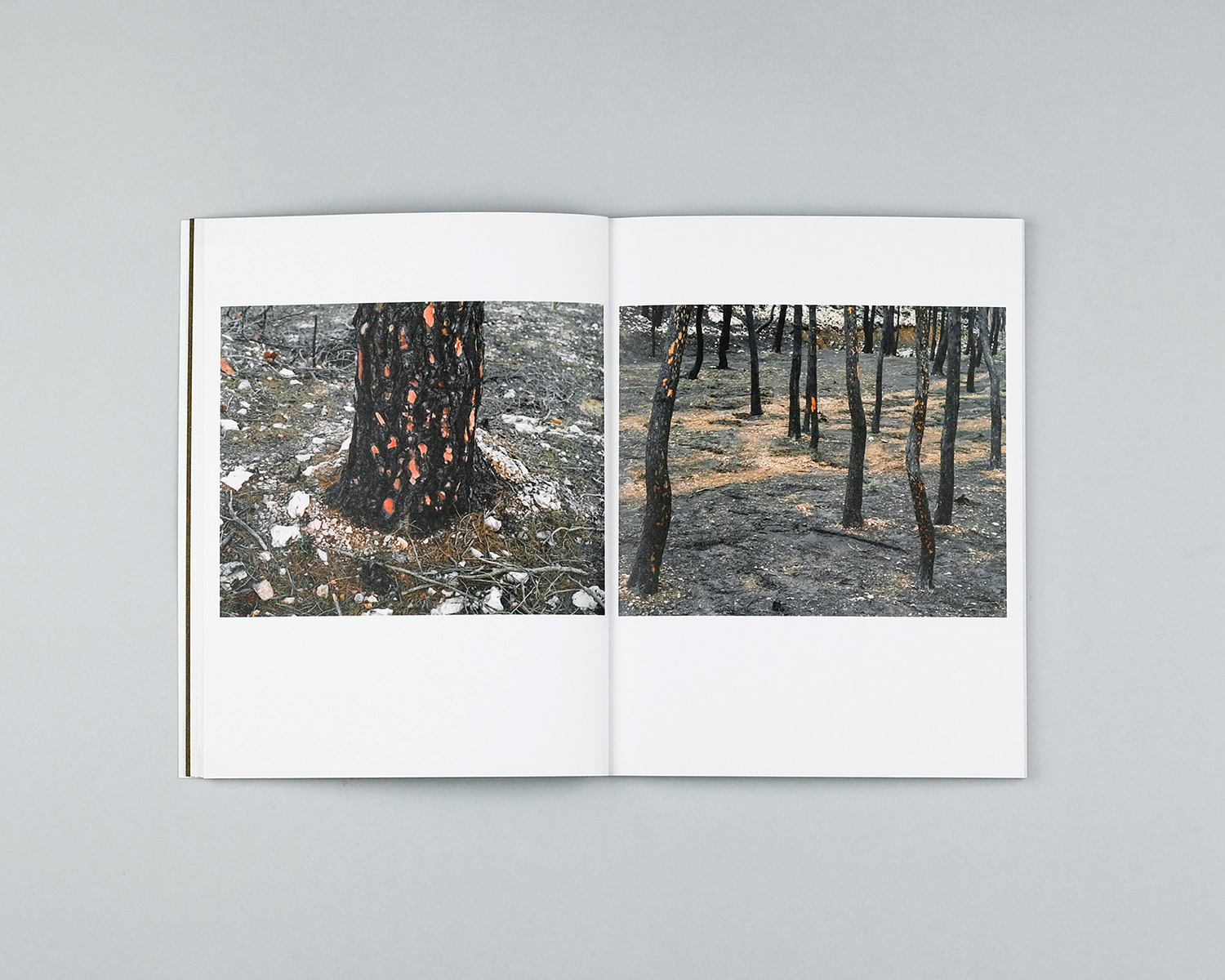 Wildfire, Another Place Press, 2020
