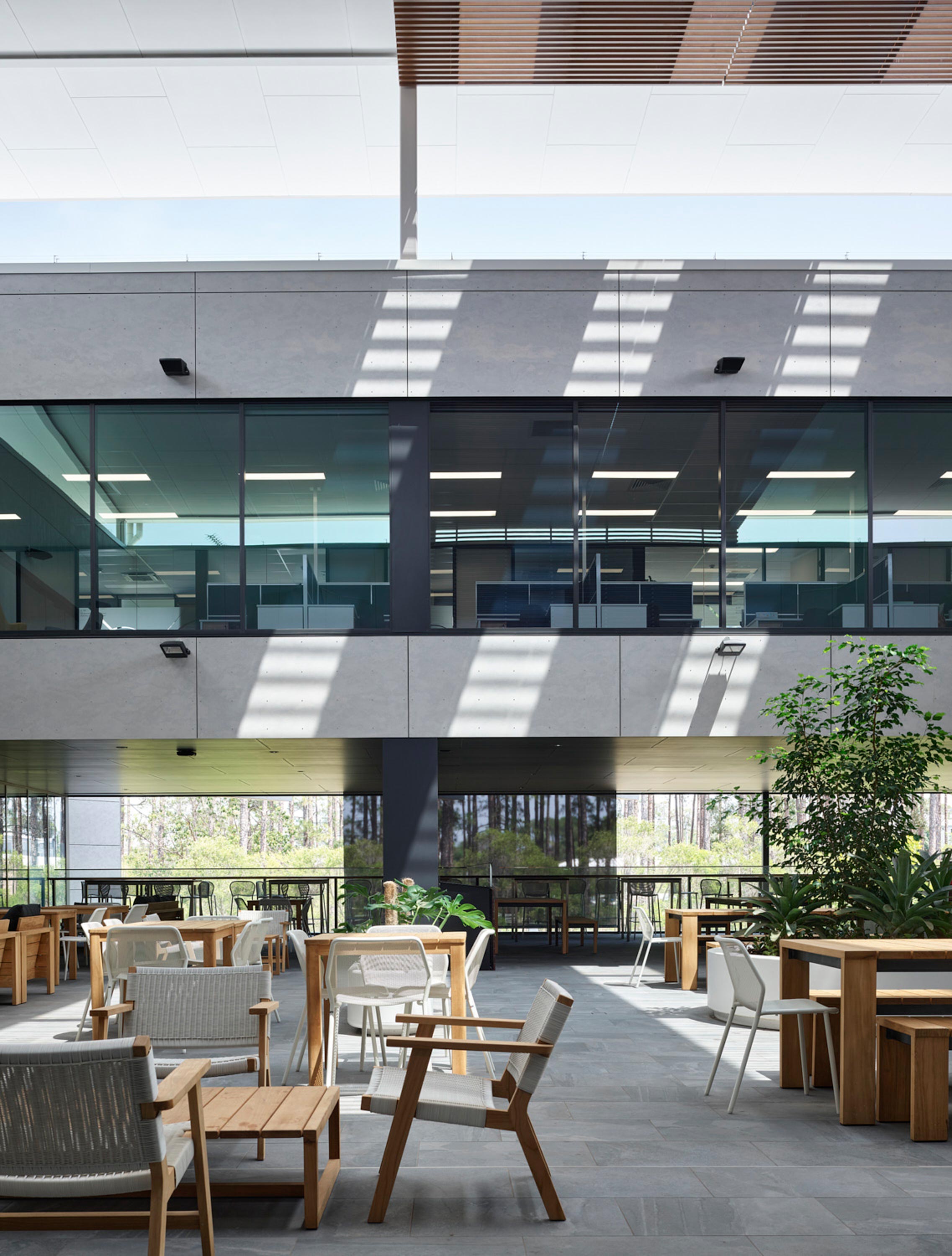 Dappled light filters through batten screening into an internal courtyard space.