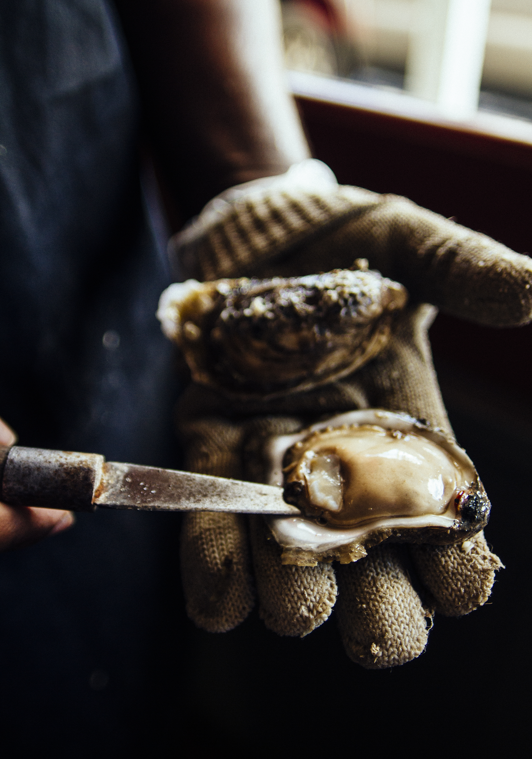 Wintzell's Oyster House/ Mobile, AL