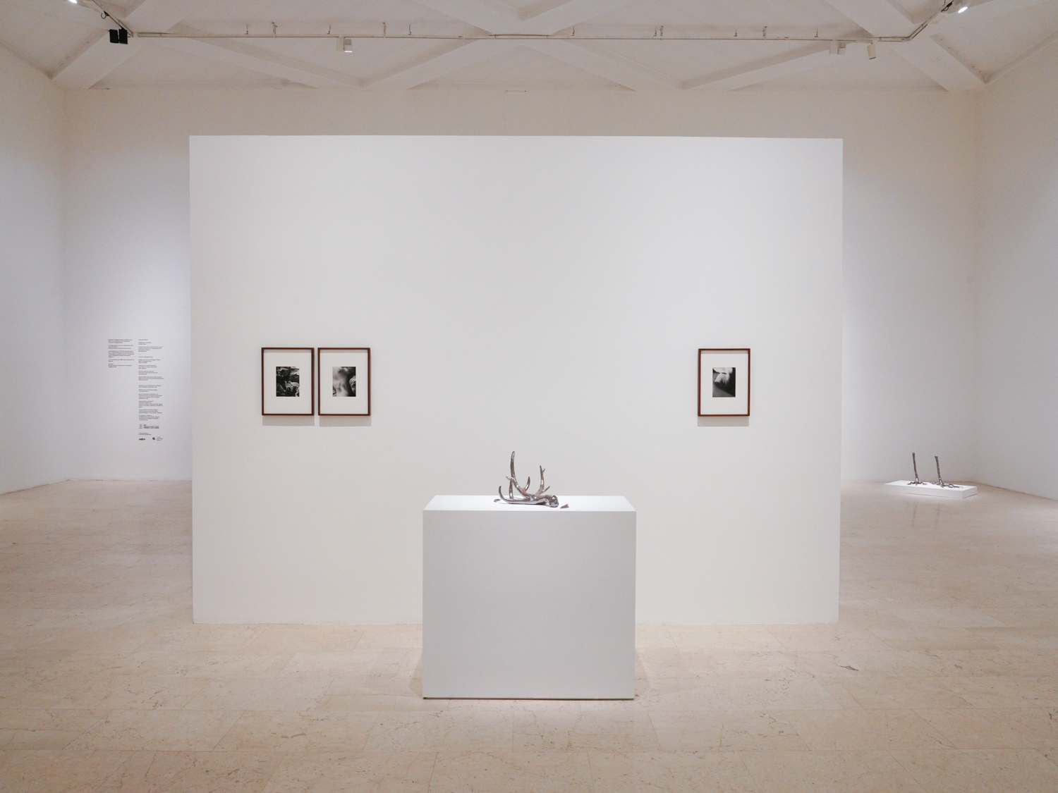 All things laid dormant, curated by Ilaria Campioli and Daniele De Luigi, Triennale Milano, 2025.