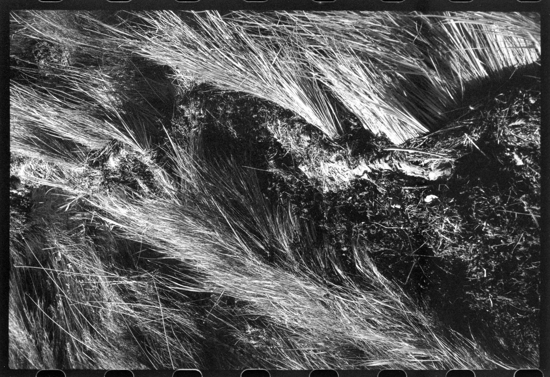 Wind, 2022