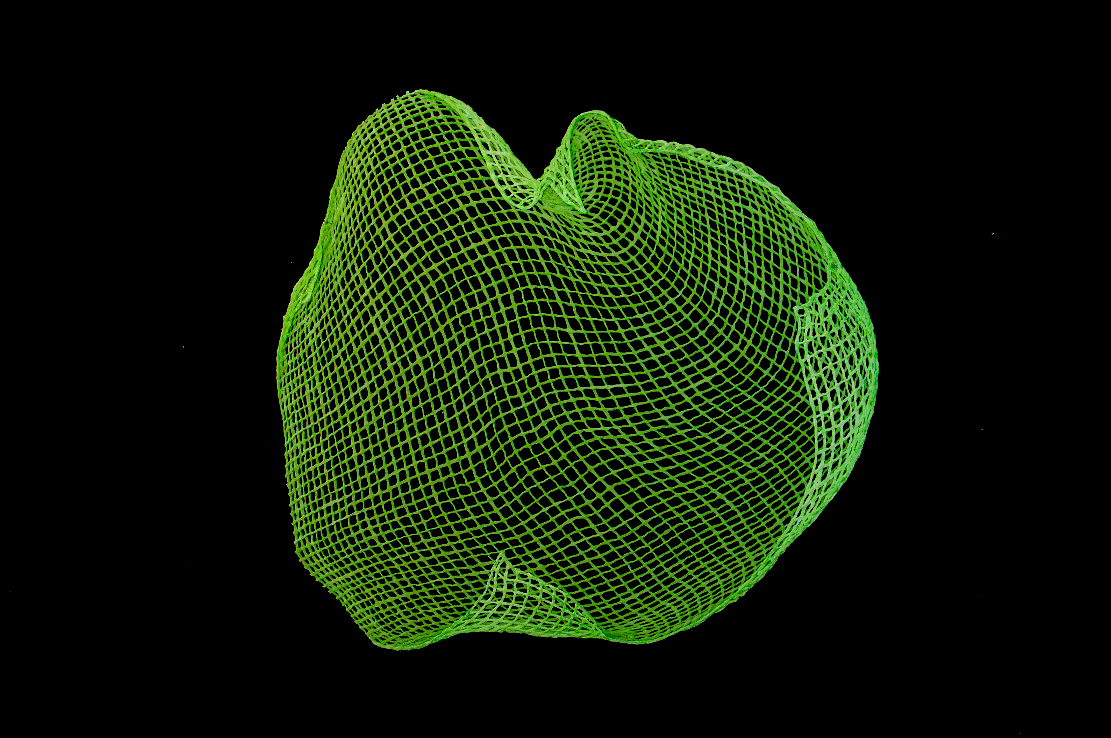 Parakeet (Voices series), Hand woven cotton, stained with inks and pigments / Coton tissé à la main et teint à l’encre et aux pigments 44" x 42"