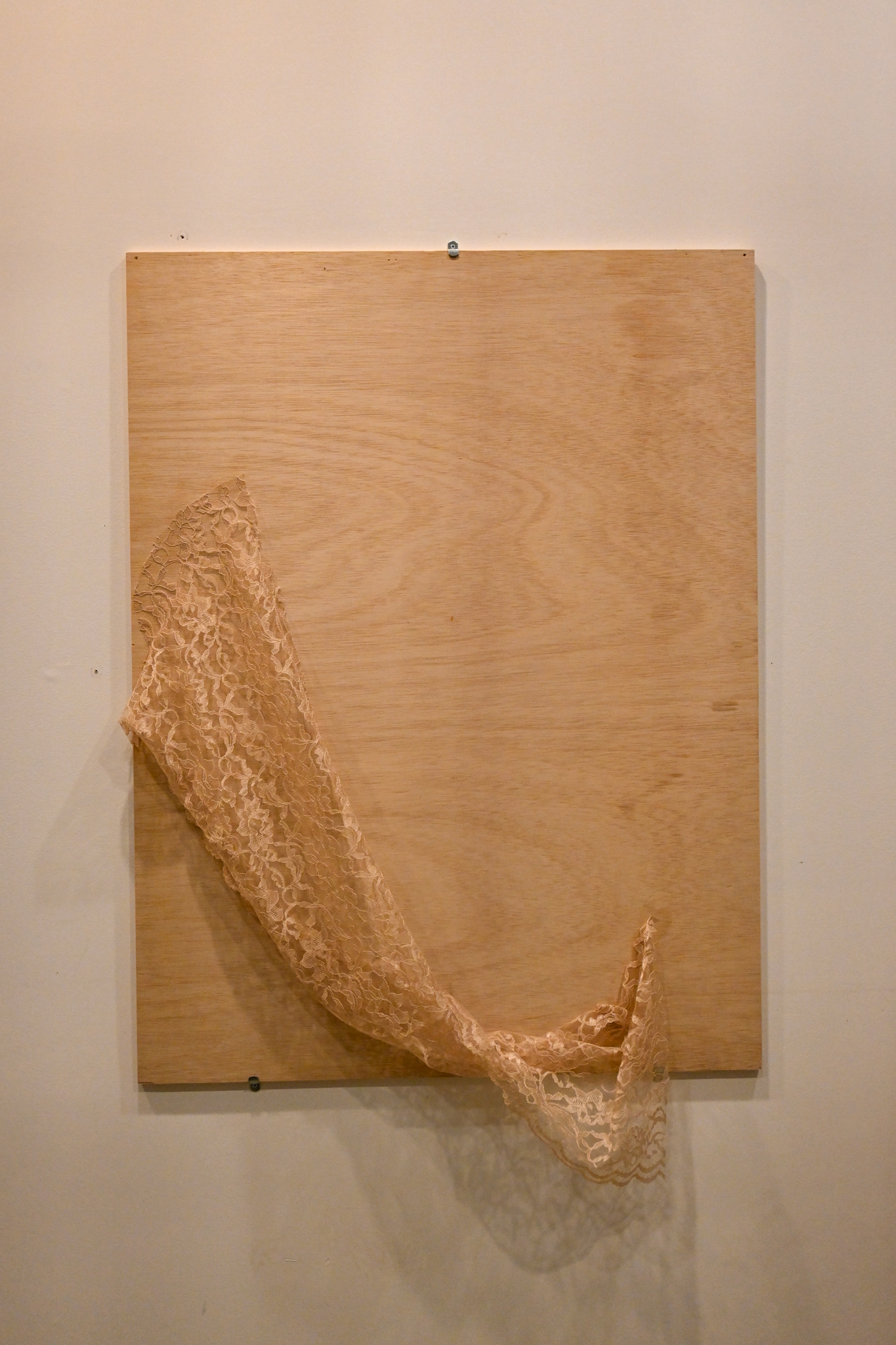 Umbilicus (2023) : lace, wheatpaste, wood