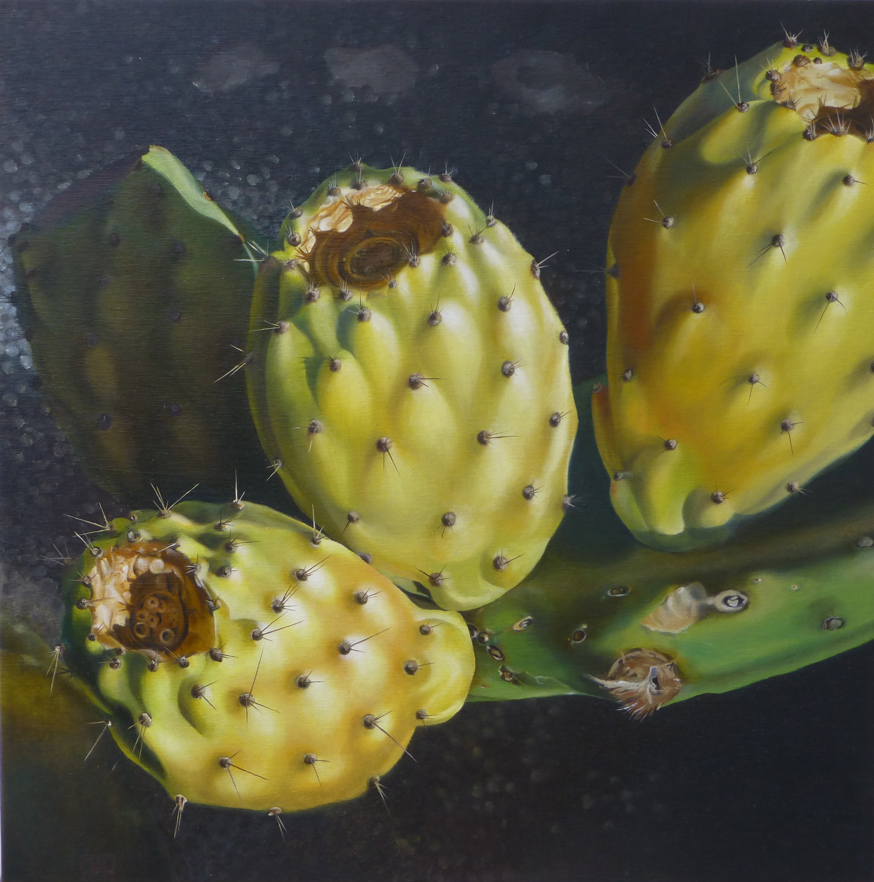 79–Feigenkaktus Nr.450×50 cmÖl auf Leinwand2012sold