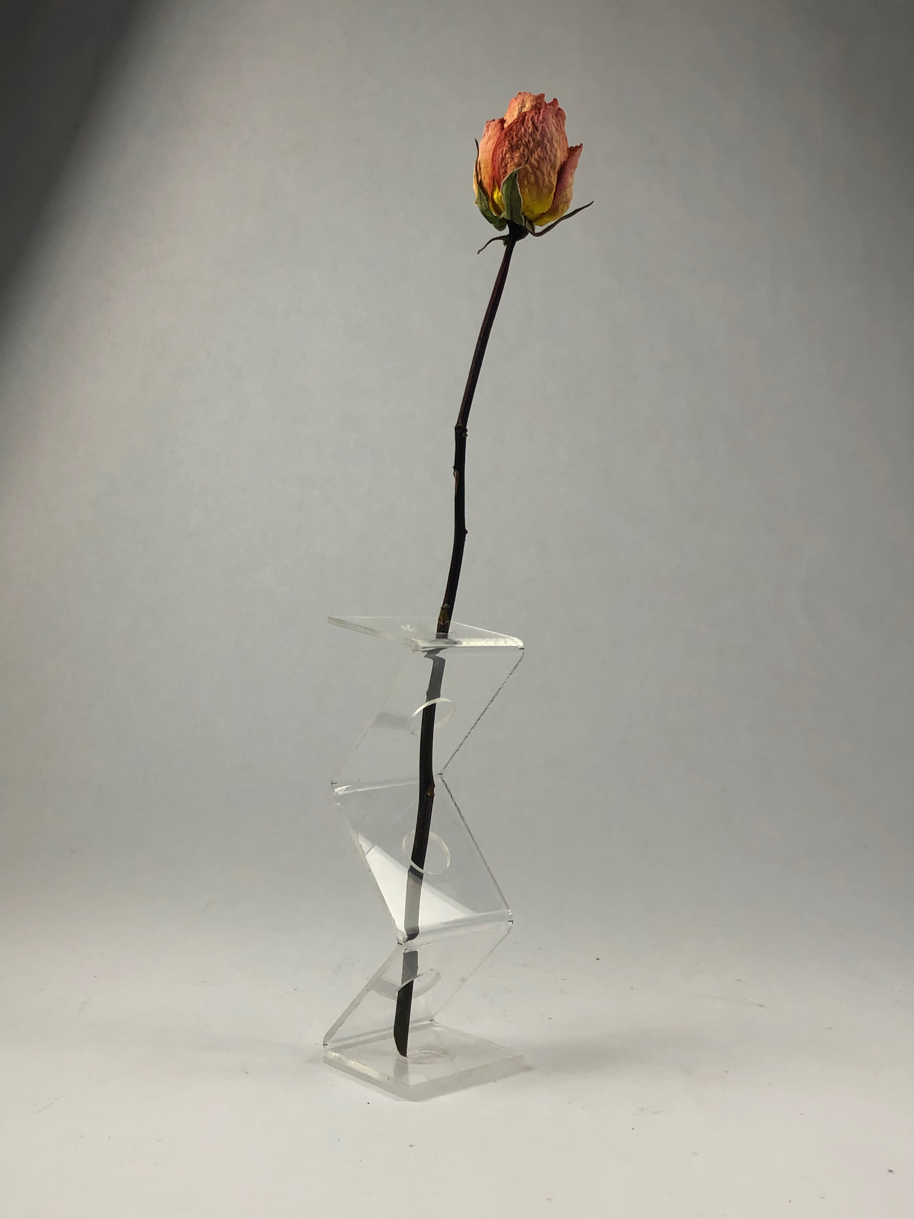 Dried Flower Vase, 2020