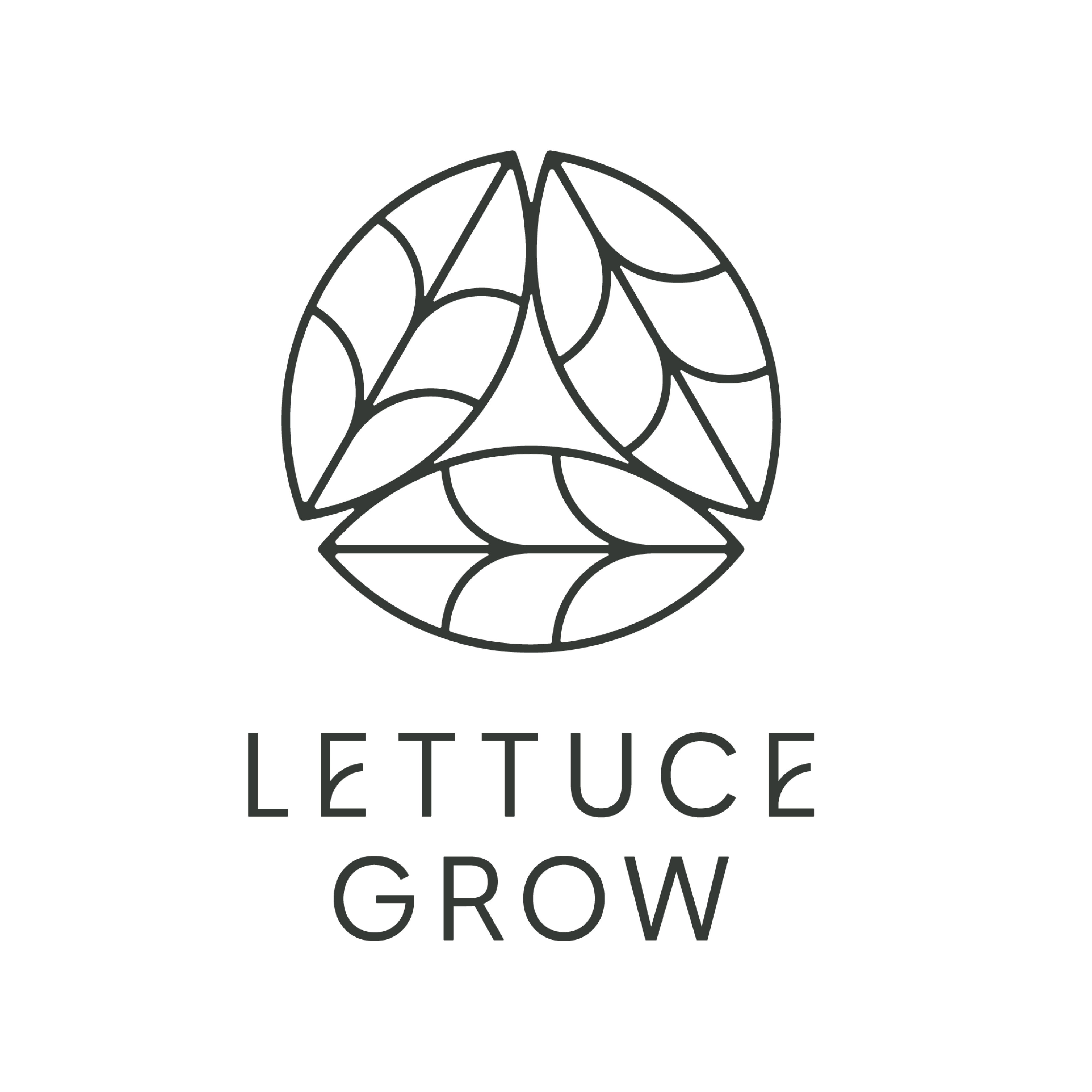 Lettuce Grow — Lauren Nipper