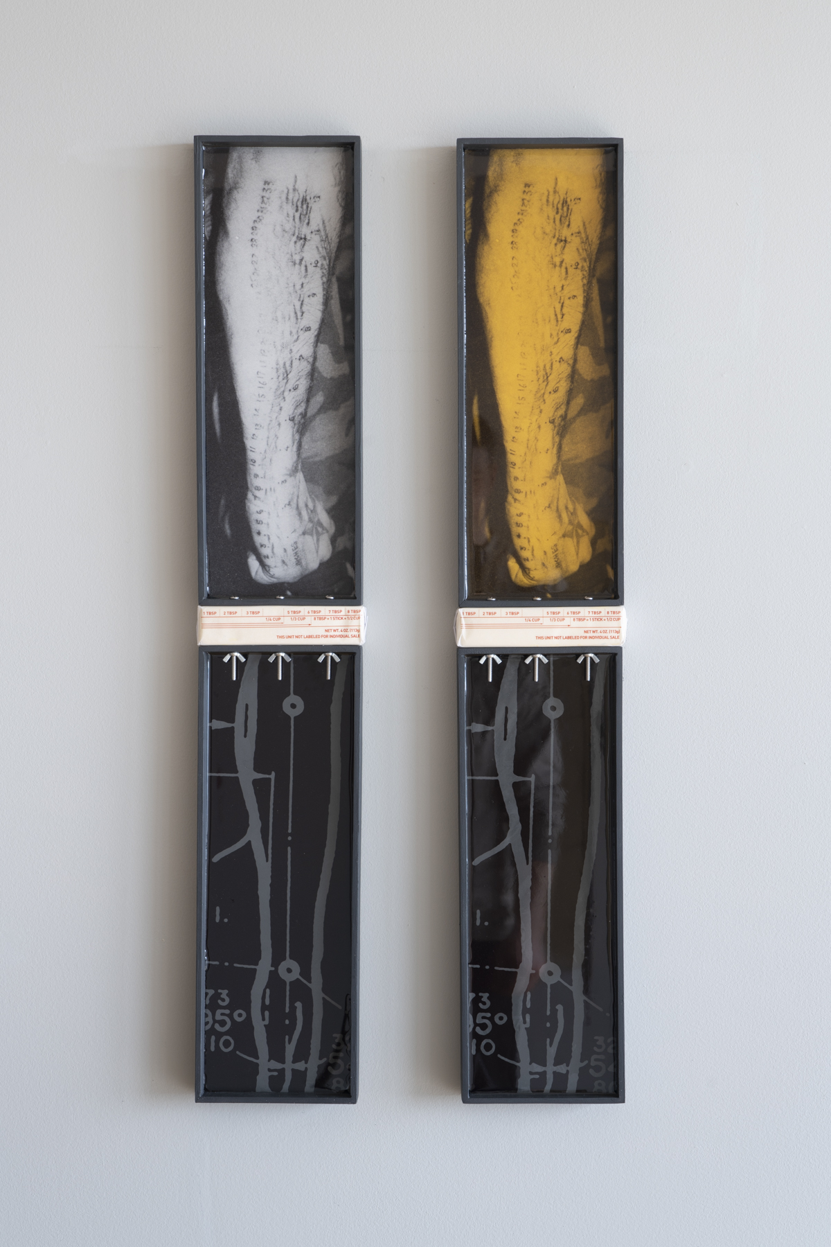 Limits, custom frame, archival print, resin, paper, wing nuts, Photography: Jesse Meredith